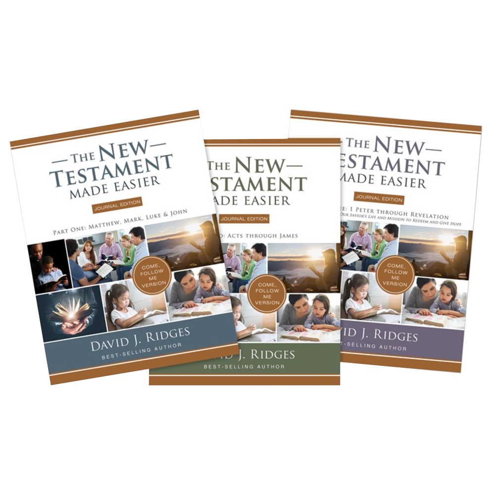 The New Testament Made Easier Journal Edition, , large image number 0