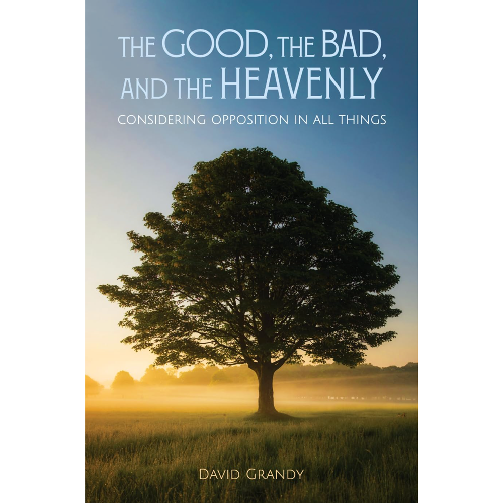 The Good, the Bad, and the Heavenly, , large image number 0