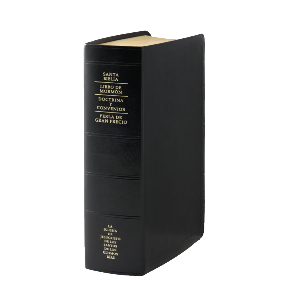Spanish Quad Combination, Simulated Leather, Regular, Indexed