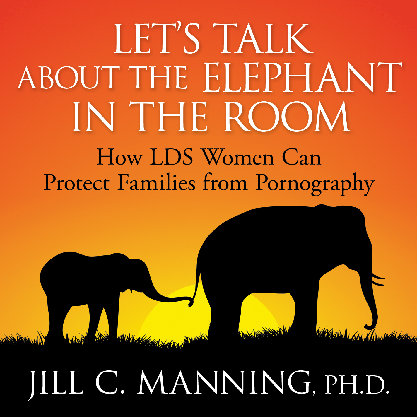 Let's Talk About the Elephant in the Room: How LDS Women Can Protect Families from Pornography, , large image number 0