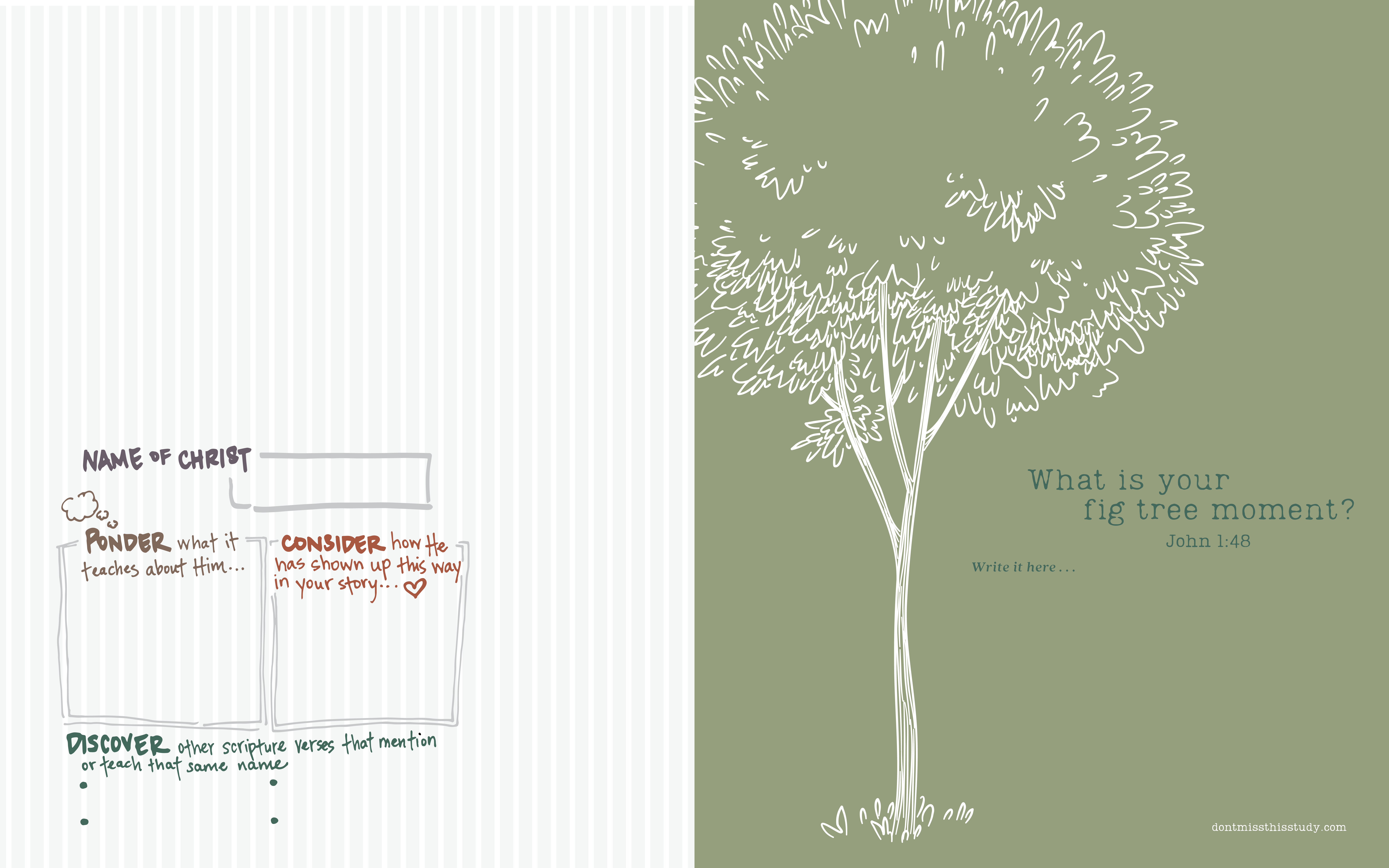 Don't Miss This in the New Testament 2023 Journal, , large image number 5