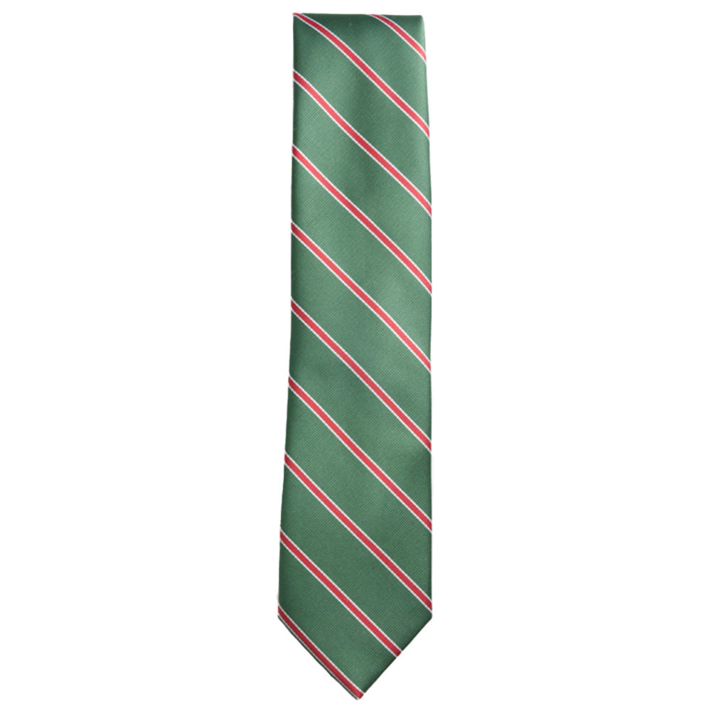 Men's Gabriel Polyester Necktie