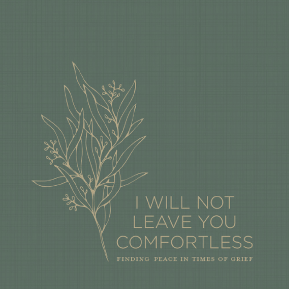 I Will Not Leave You Comfortless