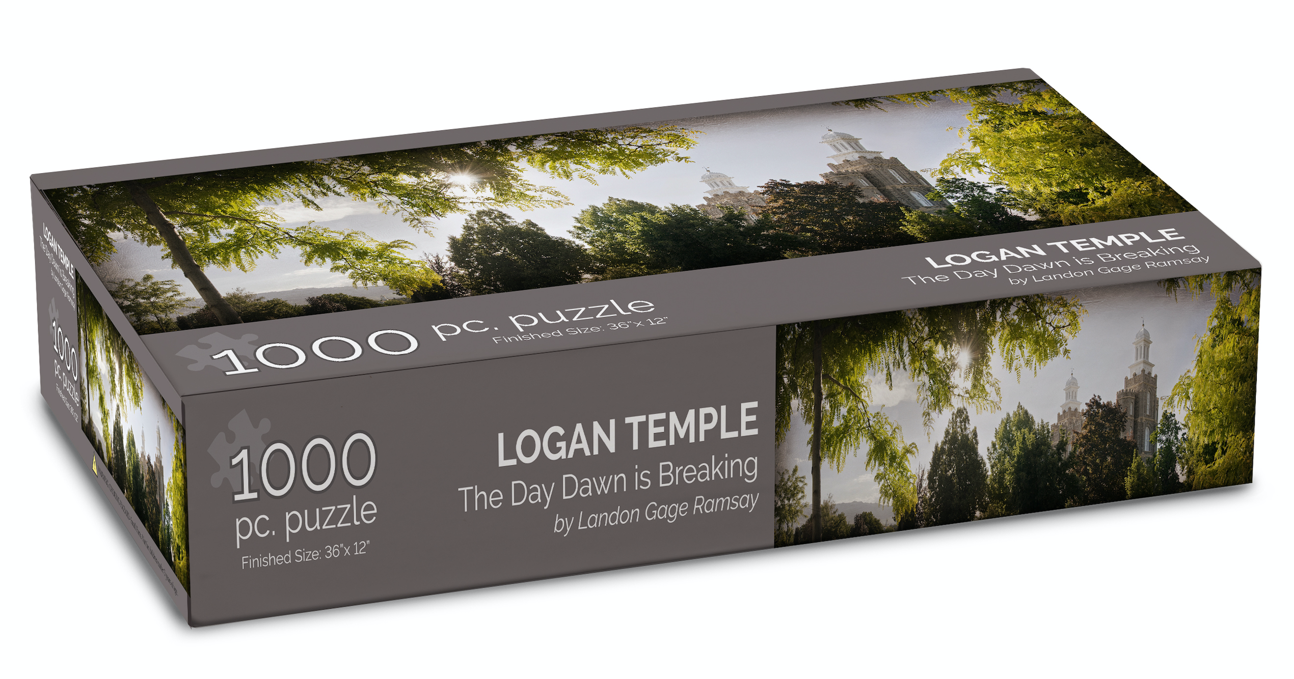 Logan Temple Panoramic 1000 Piece Puzzle, , large image number 0