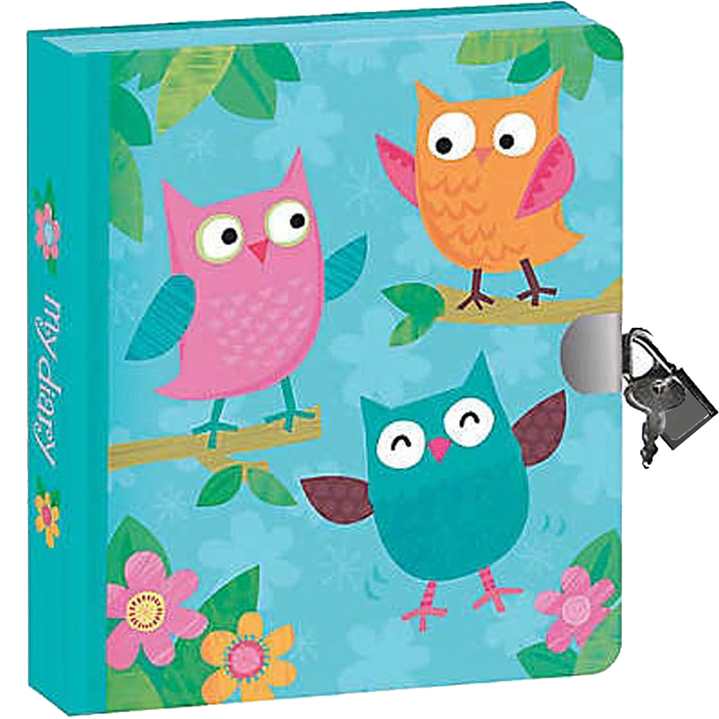 Owls Lock and Key Diary, , large image number 1