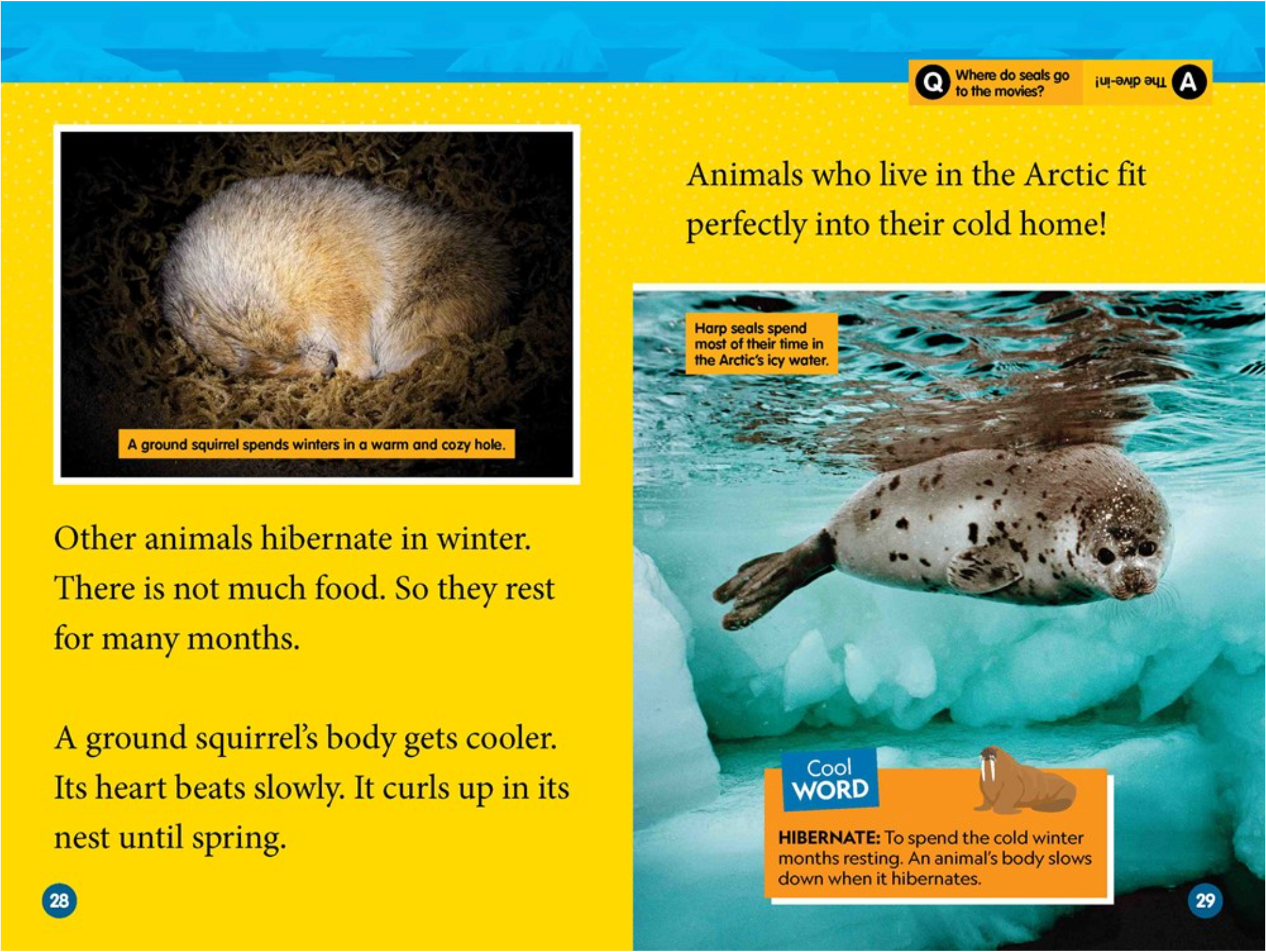 Arctic Animals, , large image number 2
