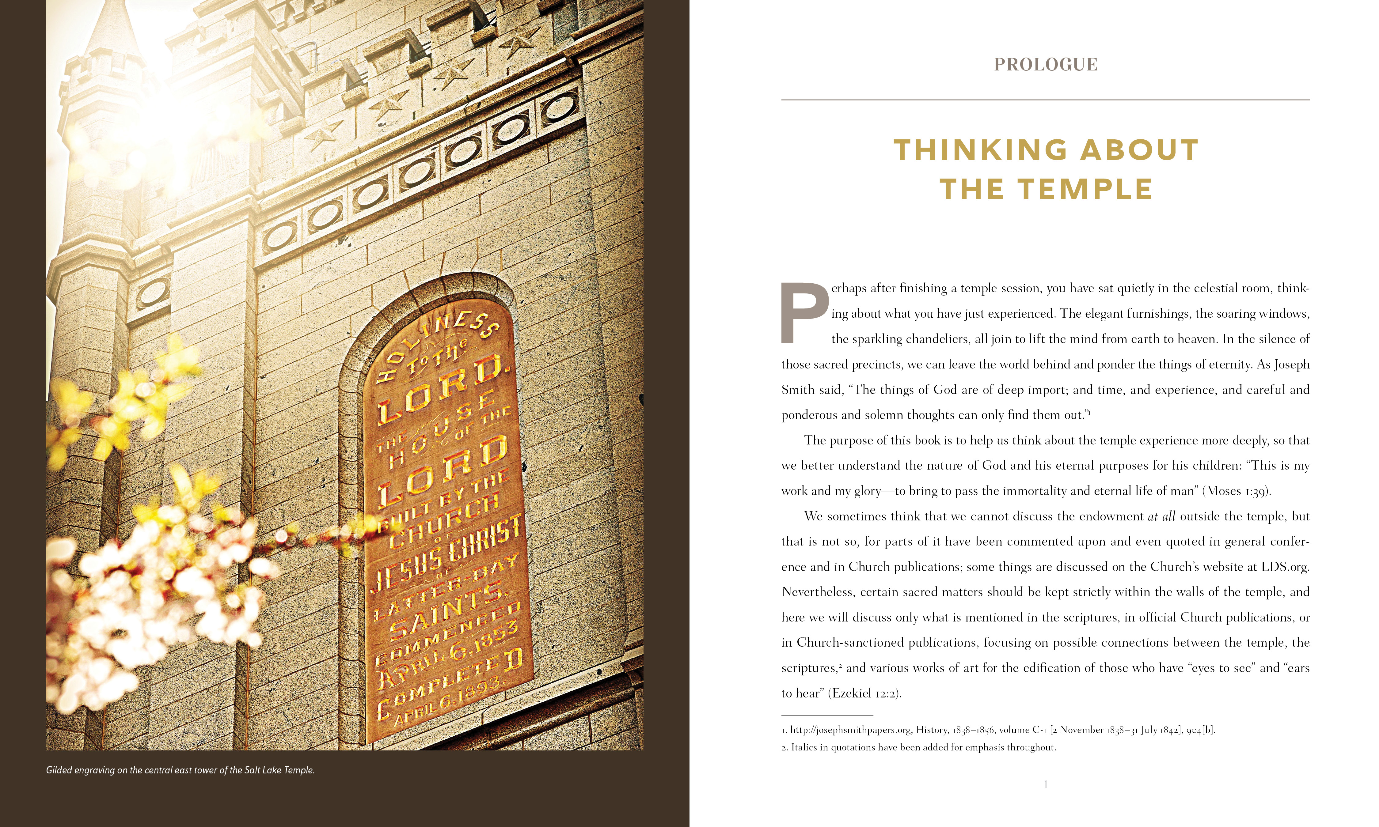 Understanding Temple Symbols, , large image number 3