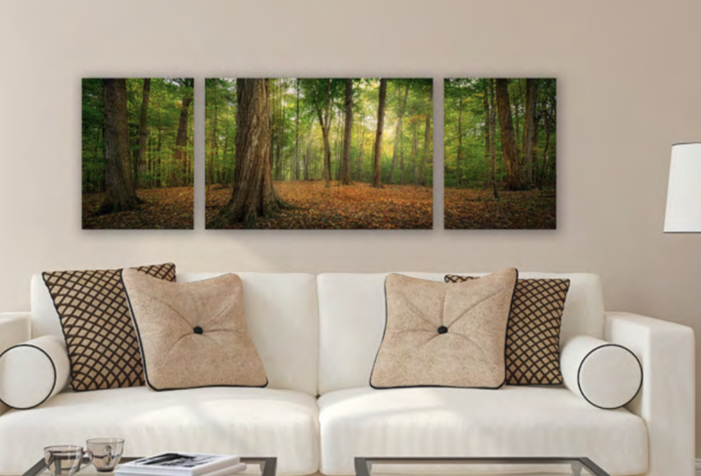 Oh, How Lovely Was the Morning Triptych (48x16 Gallery Wrap), , large