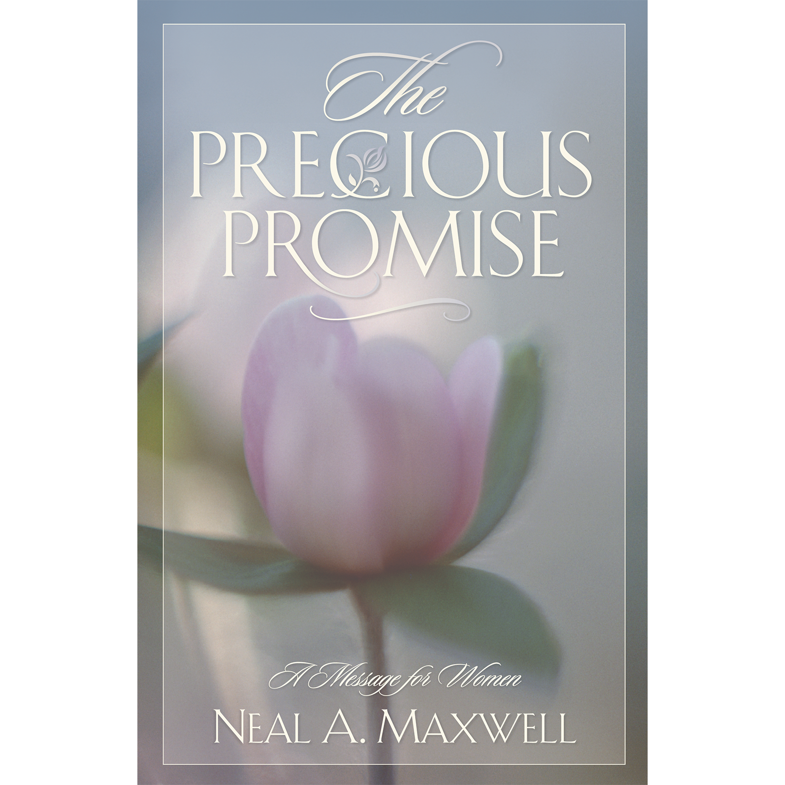 The Precious Promise, , large image number 0