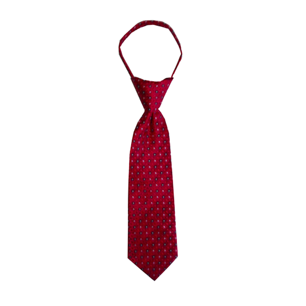 Red Small Squares Toddler Zipper Necktie, , large image number 0