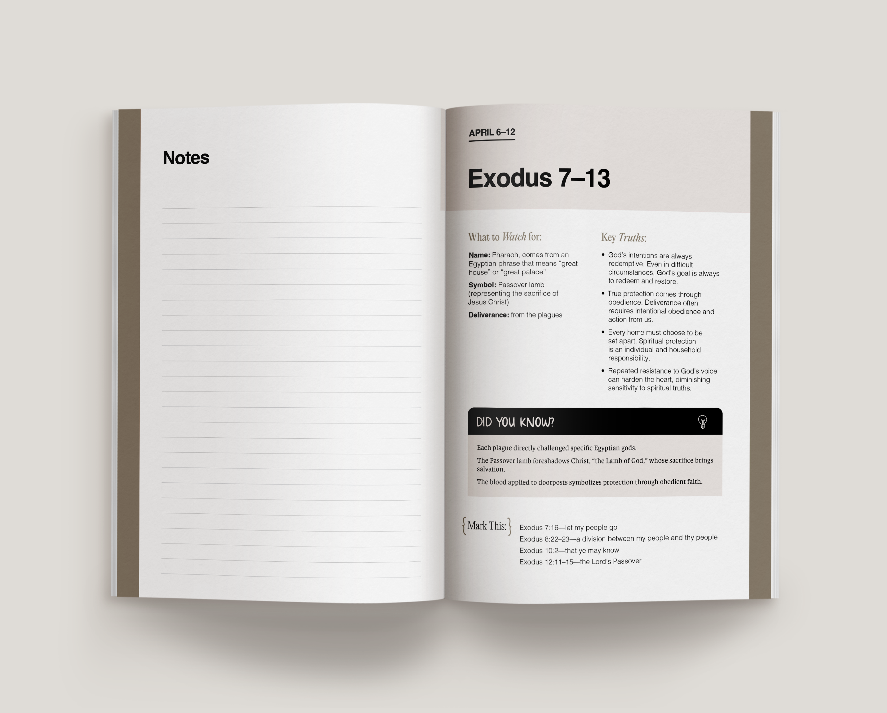Don't Miss This Old Testament 2026 Study Journal, , large image number 5