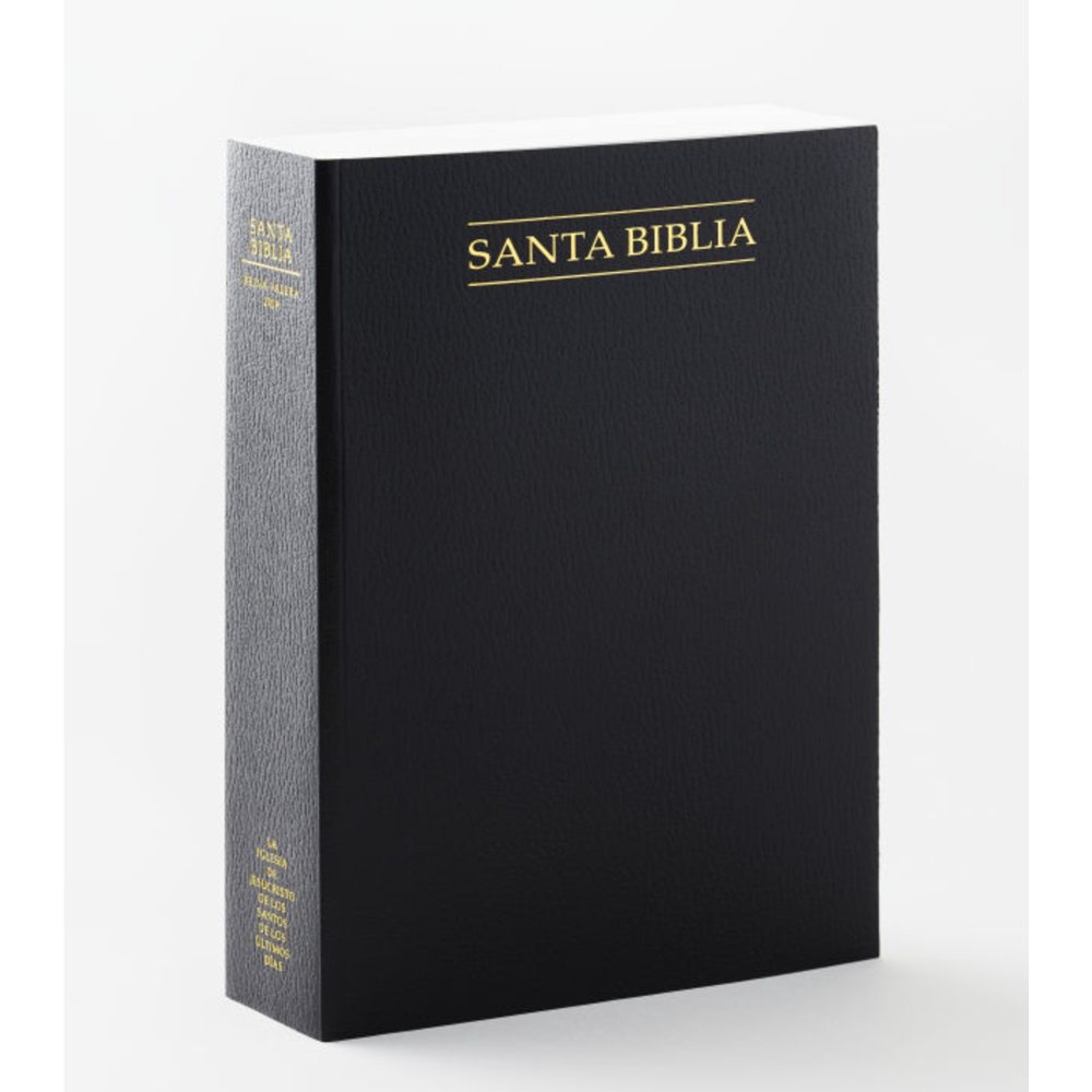 Spanish Holy Bible, Economy Softcover, Regular, Unindexed, , large image number 0
