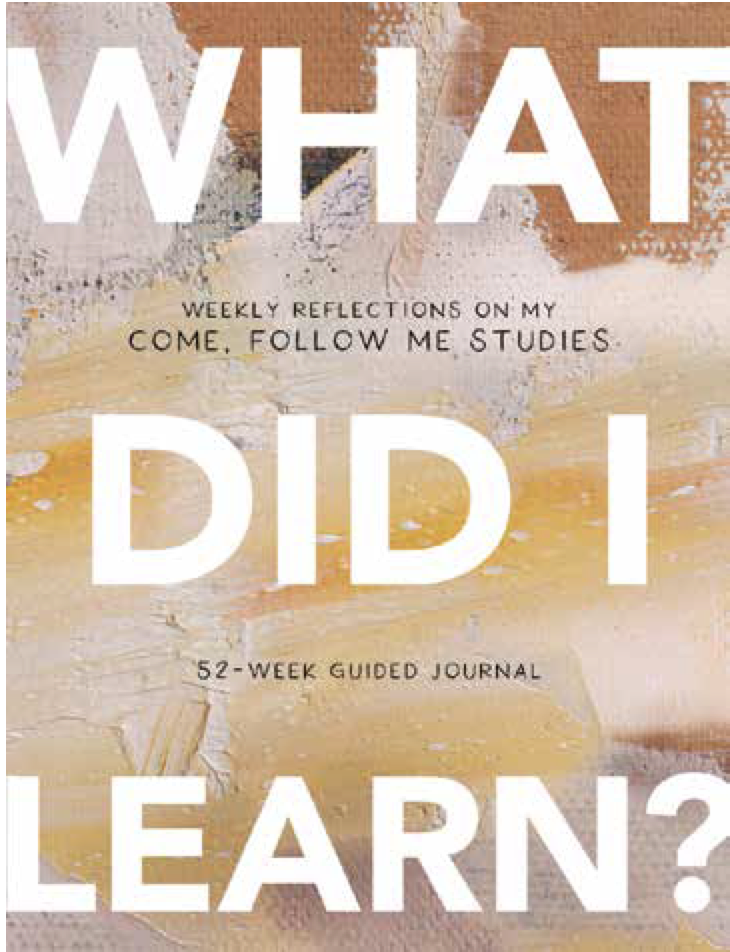 What Did I Learn? Journal, , large image number 0