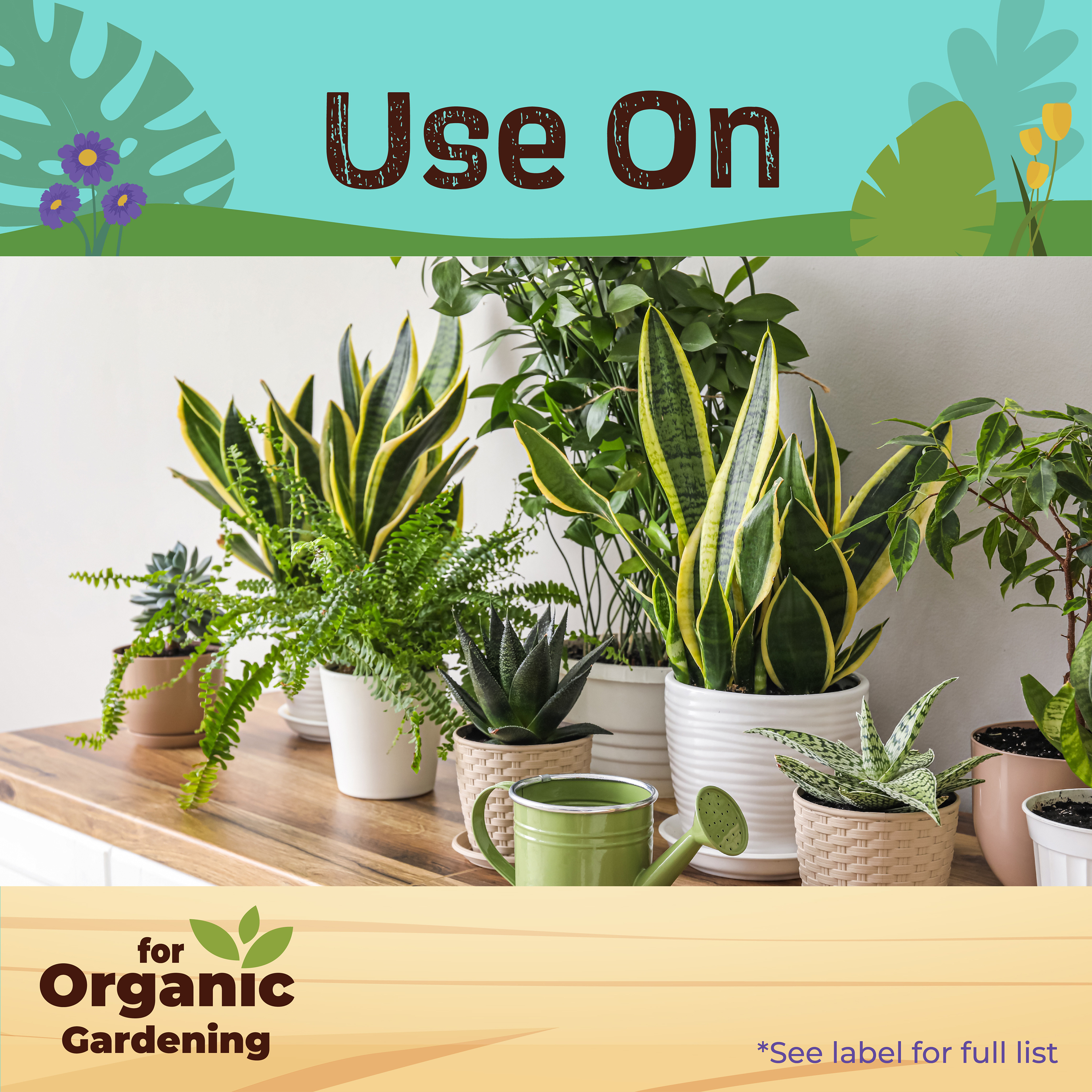 Houseplant Liquid Food 10-10-10 Concentrate