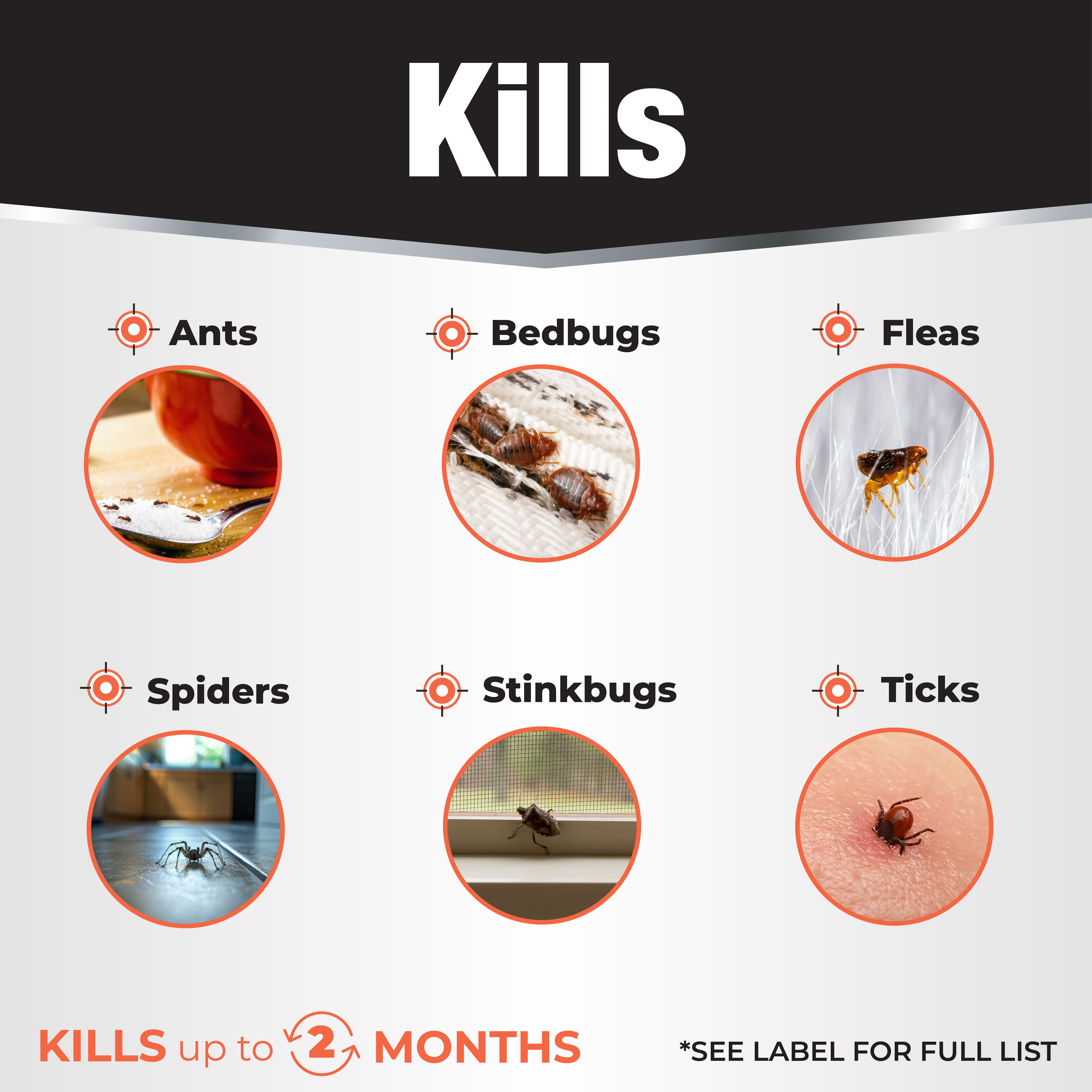 Revenge Dual-Action Bedbug Killer Ready-to-Use