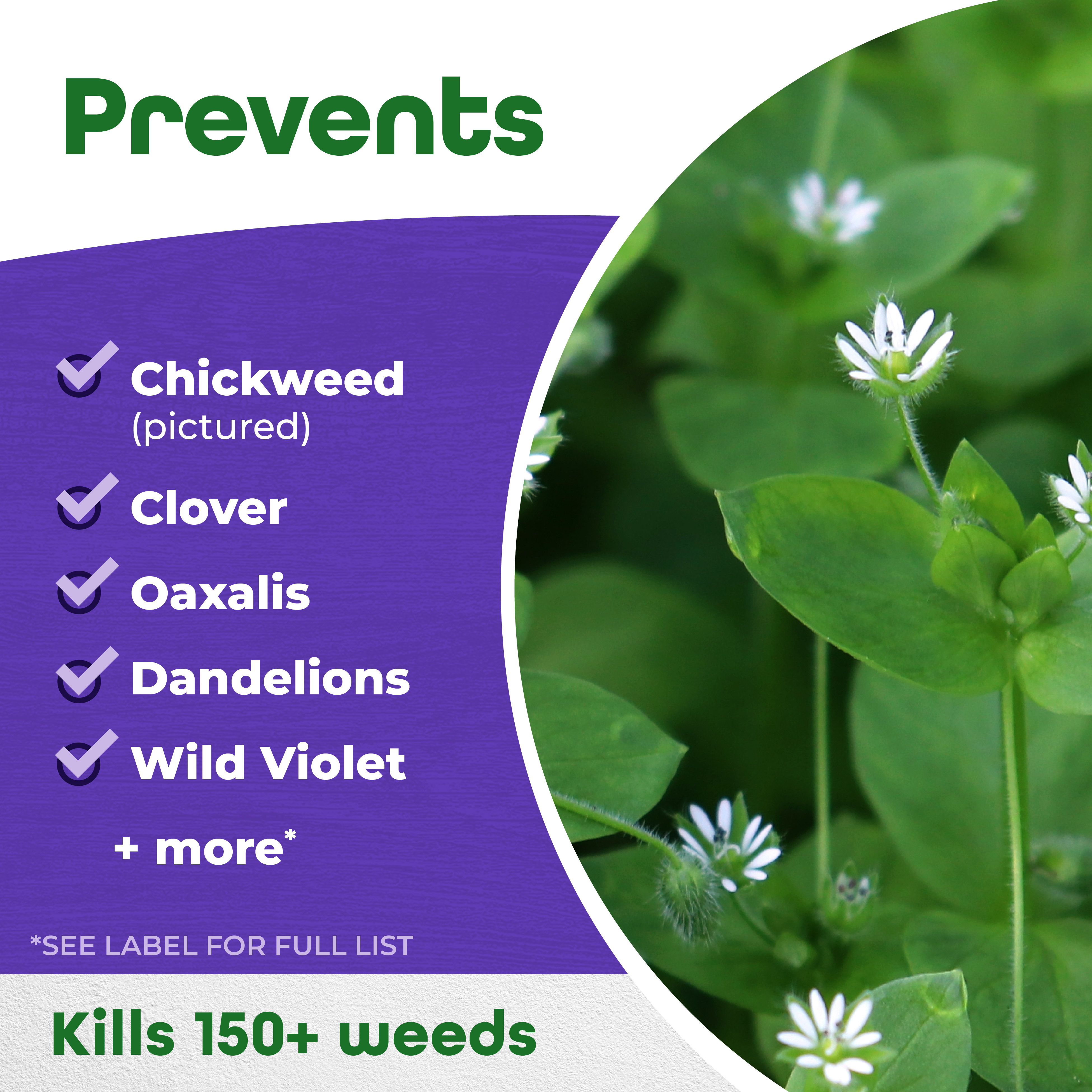 Chickweed, Clover & Oxalis Killer Ready-to-Use