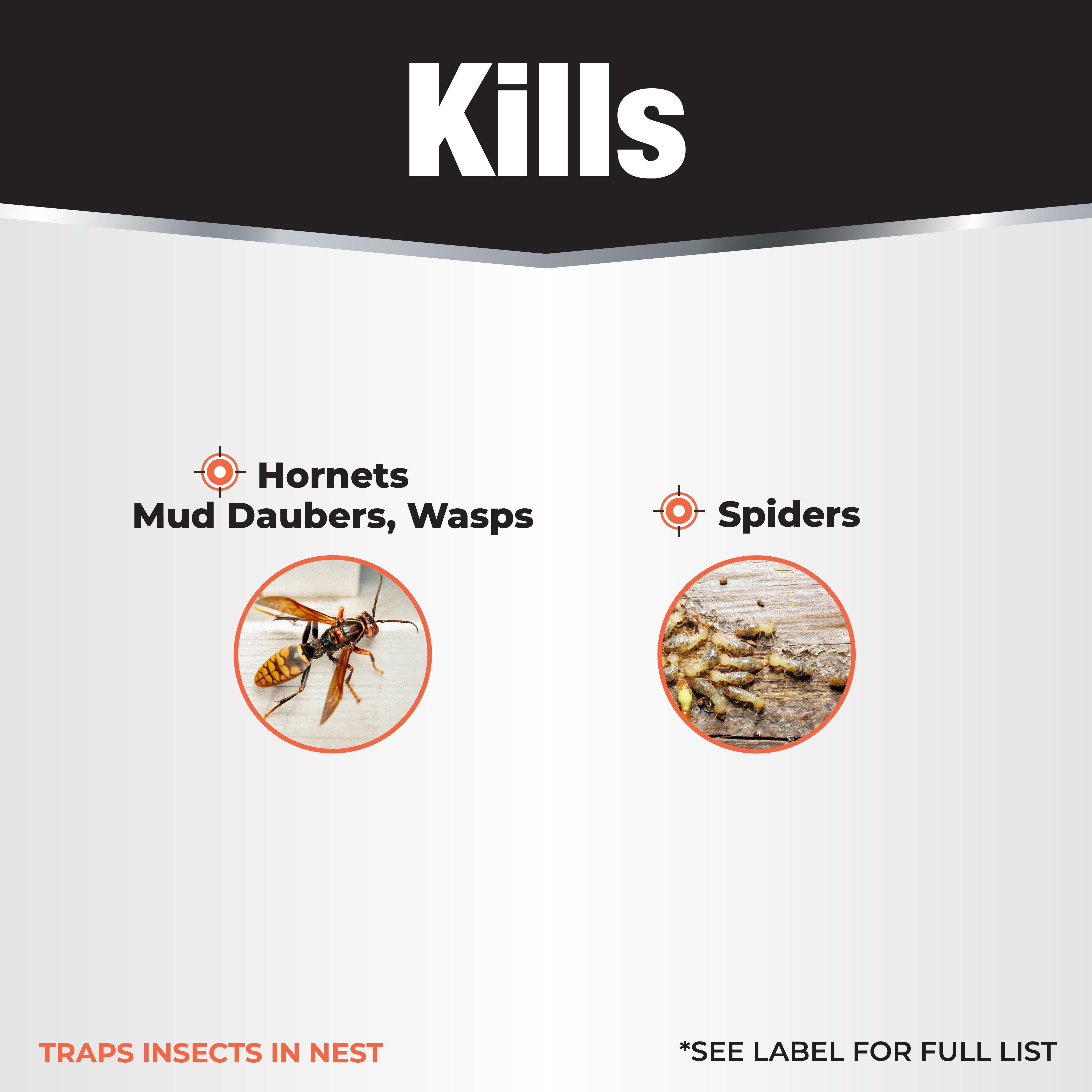 Revenge Wasp & Hornet Foam Aerosol