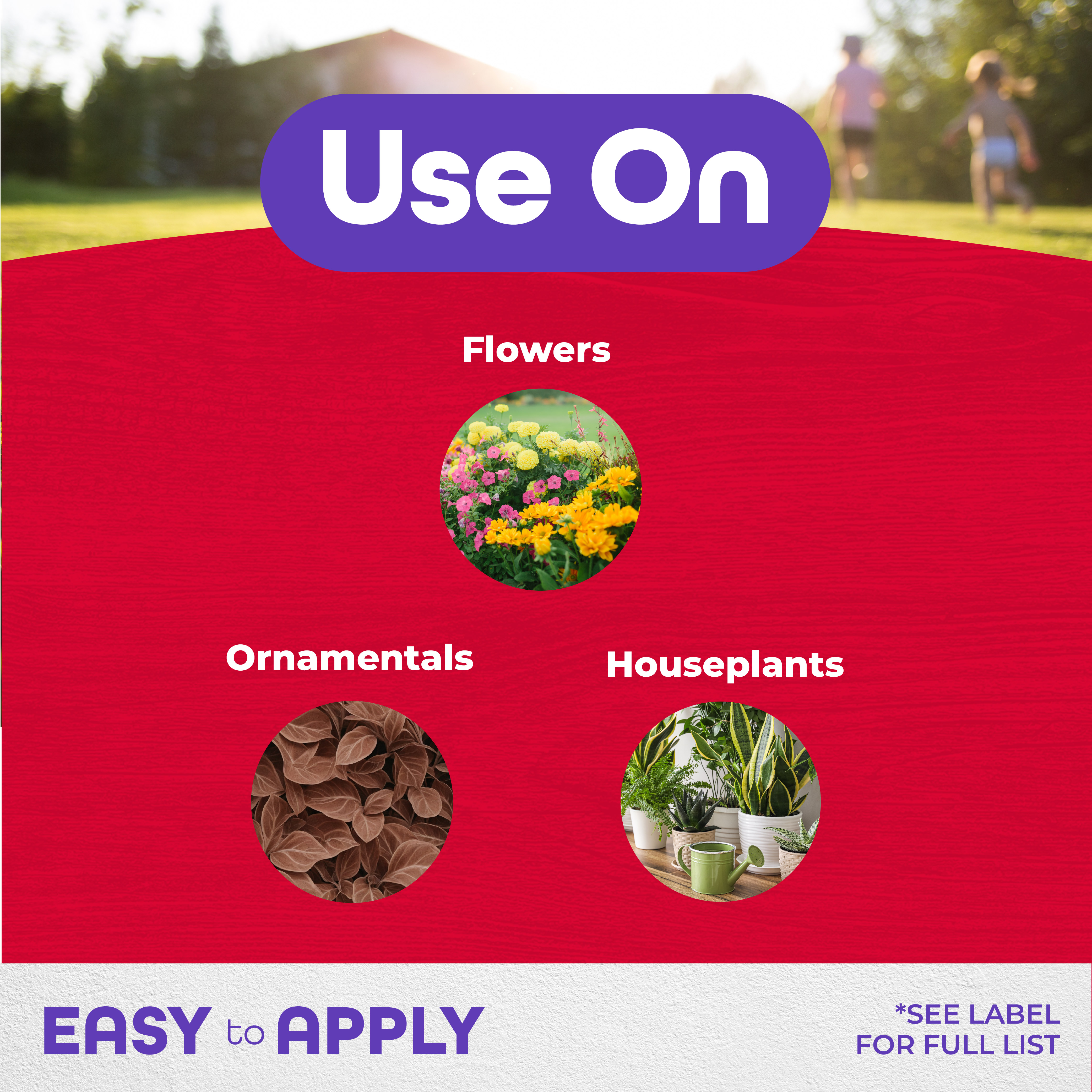 Systemic Granules Insect Control