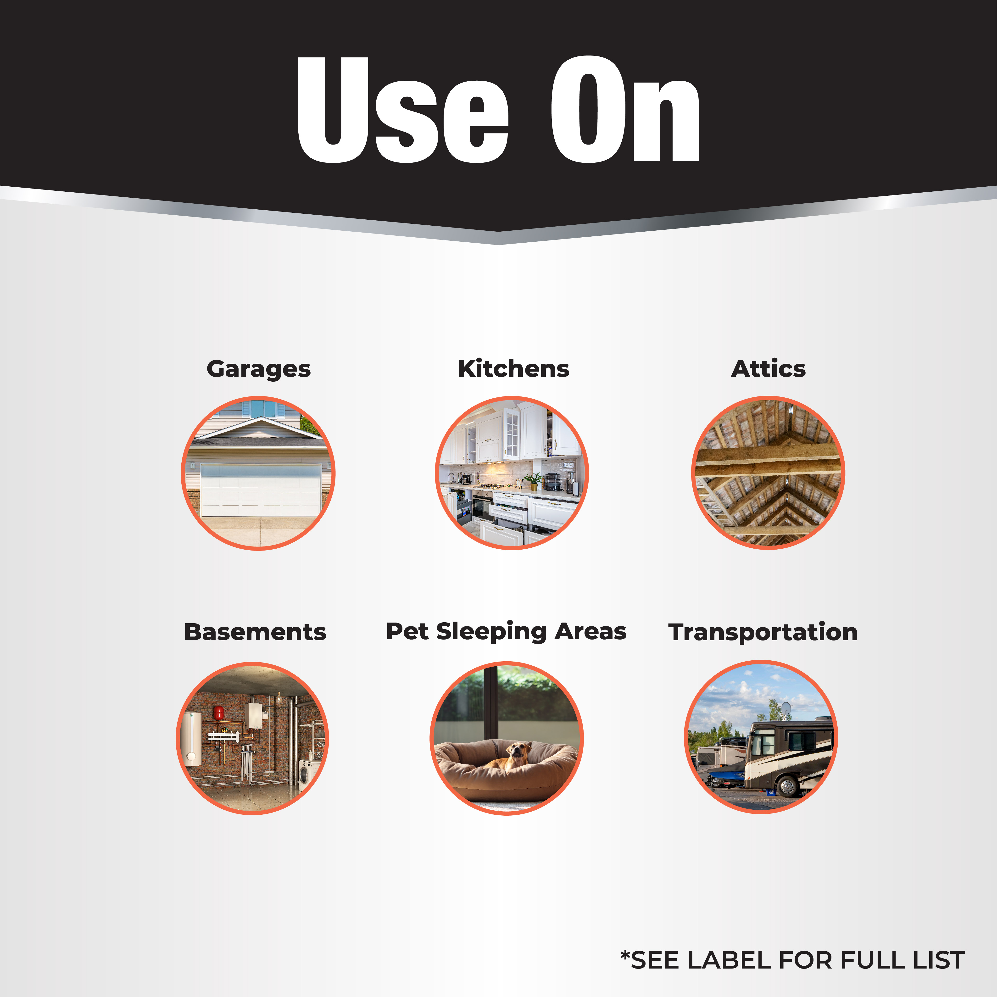 Revenge Termite & Carpenter Ant Ready-to-Use