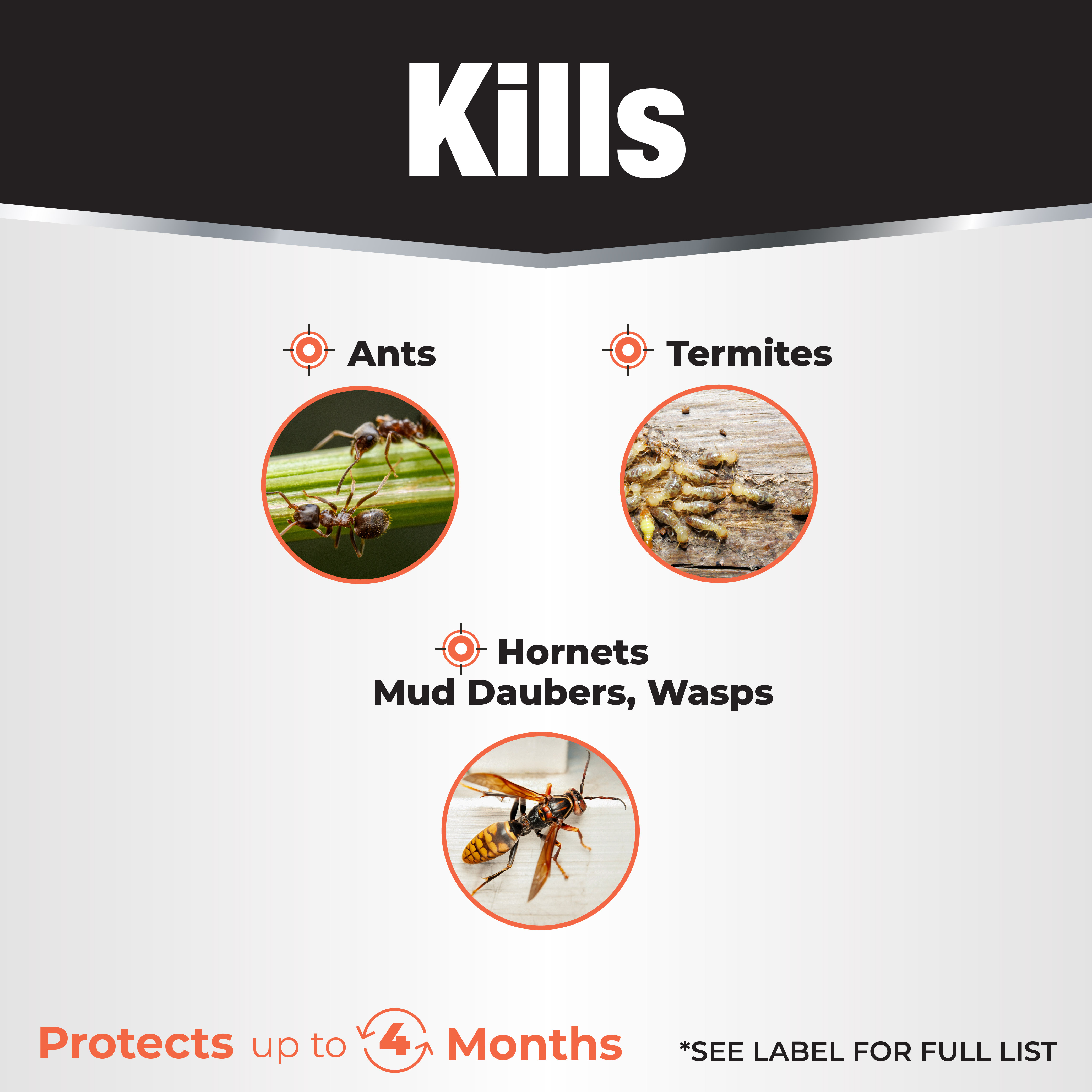 Revenge Termite & Carpenter Ant Ready-to-Use