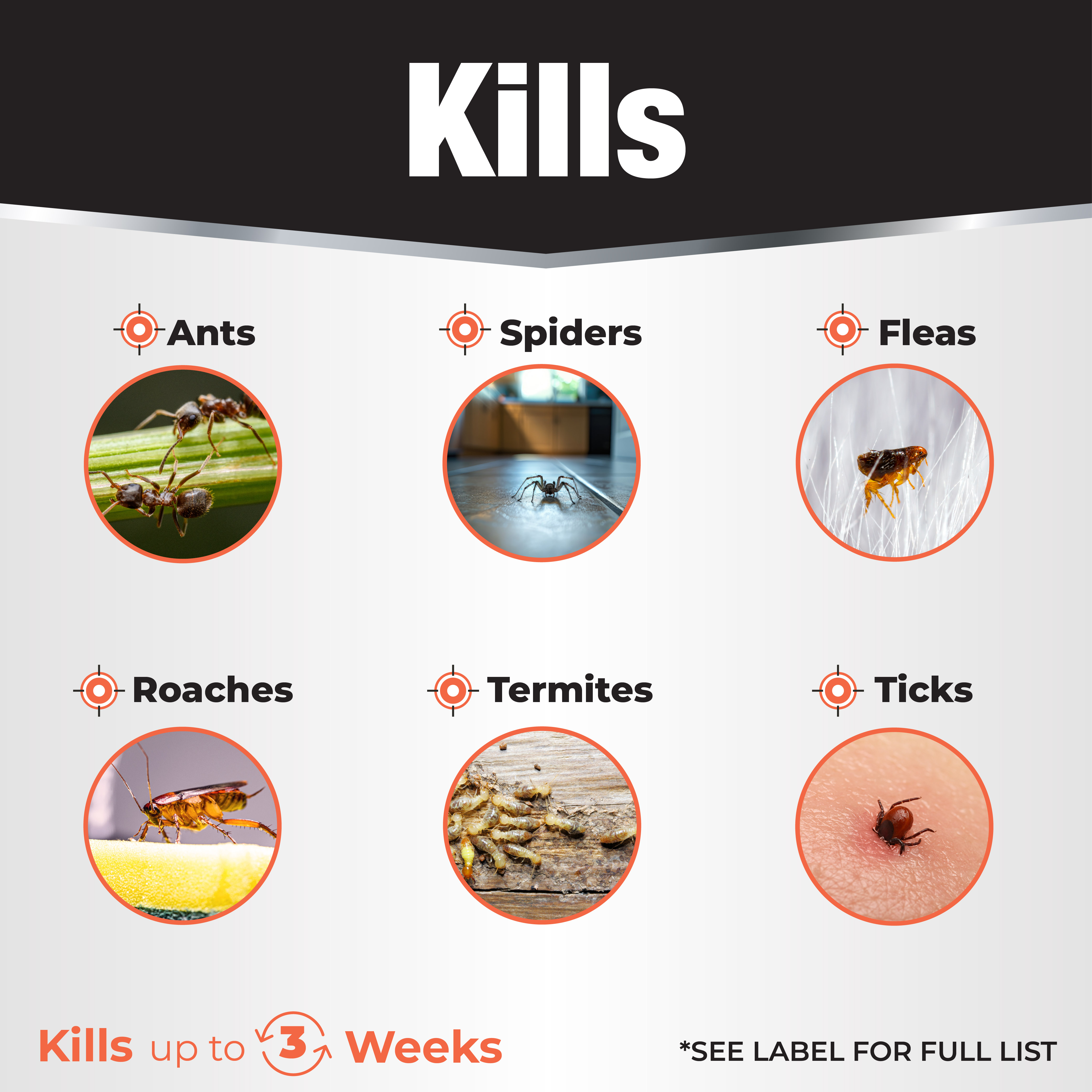 Revenge Termite & Carpenter Ant Aerosol