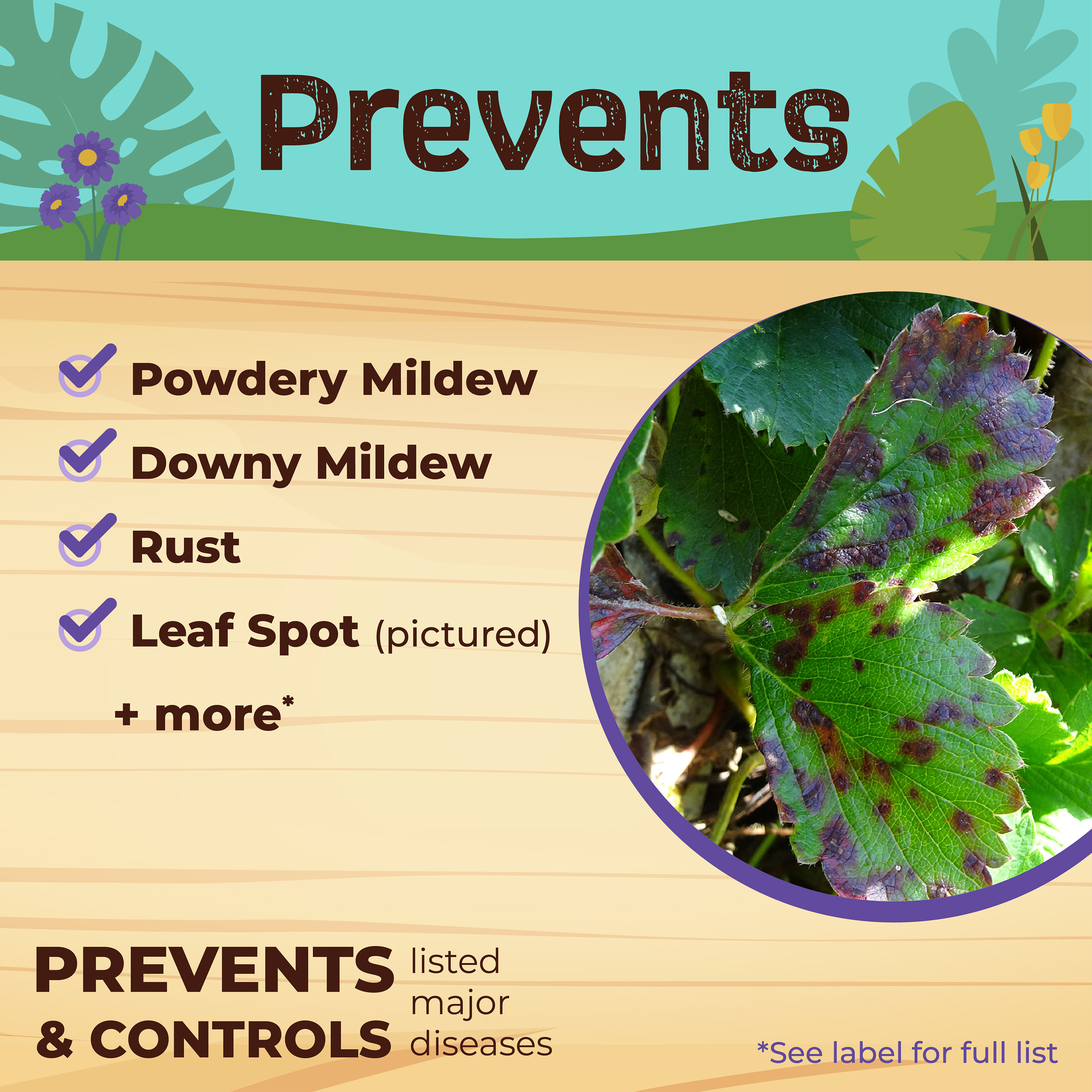 Neem Max For Houseplants Ready-to-Use 12oz.