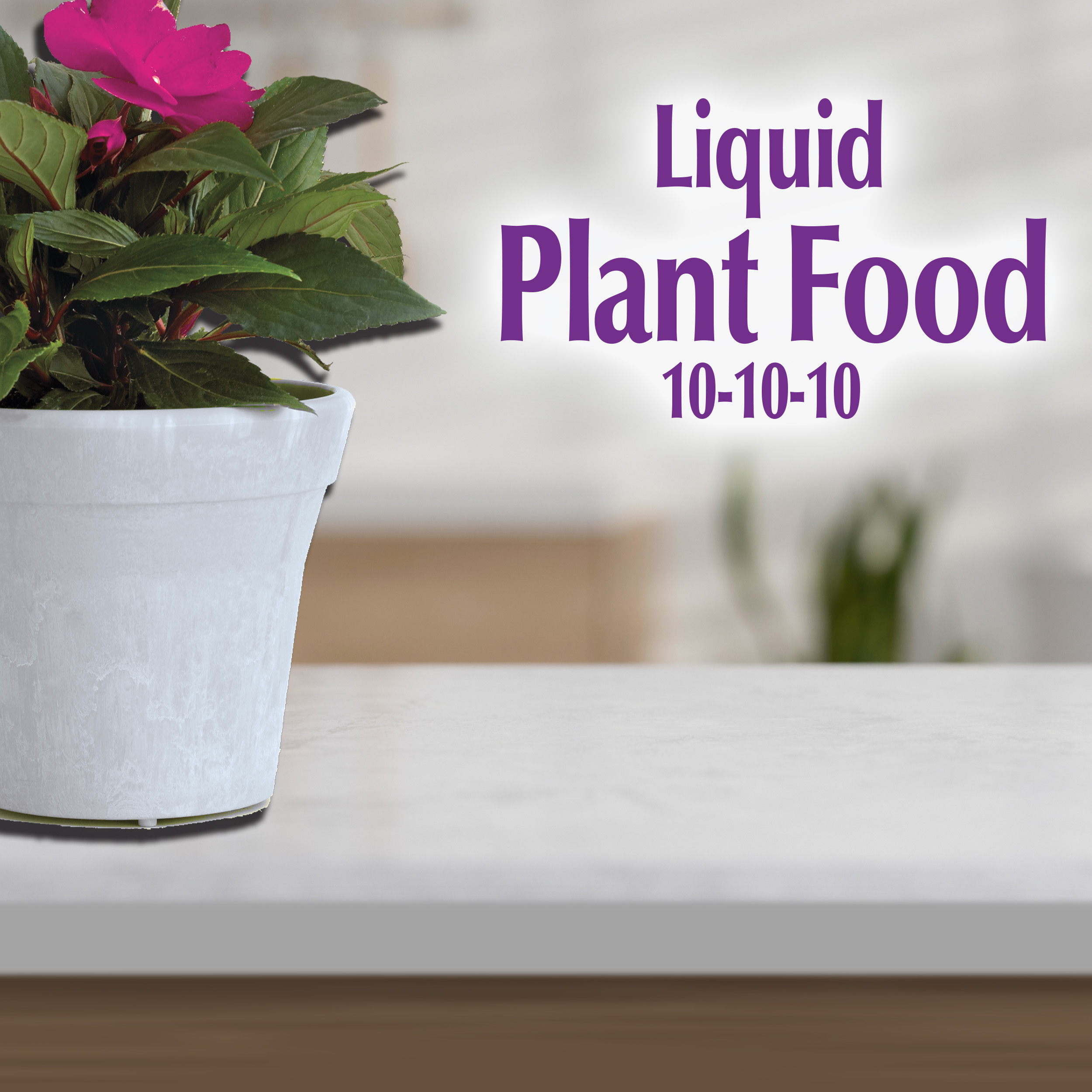 Houseplant Liquid Food 10-10-10 Concentrate