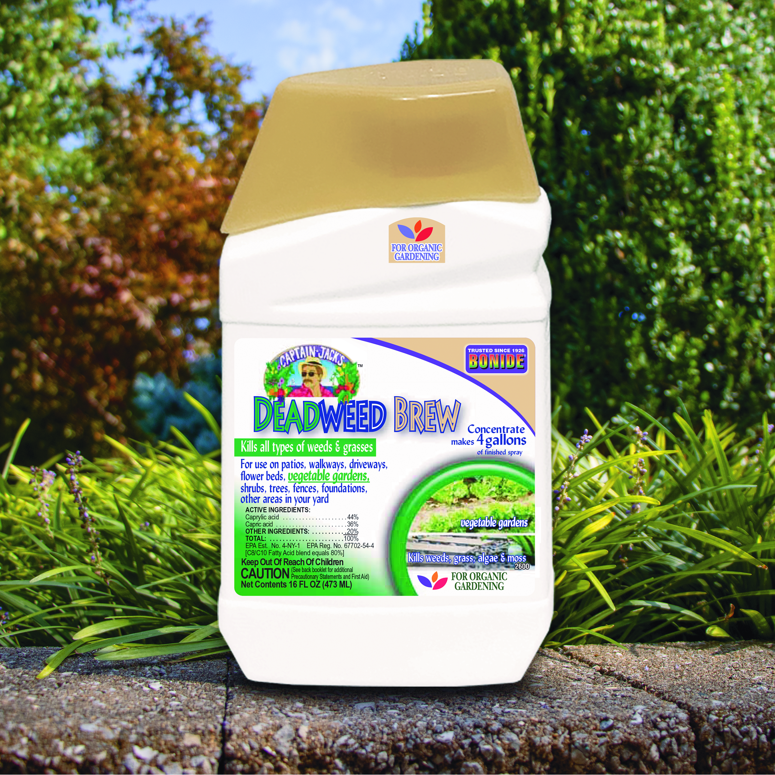 CAPTAIN JACK’S Deadweed Brew Concentrate
