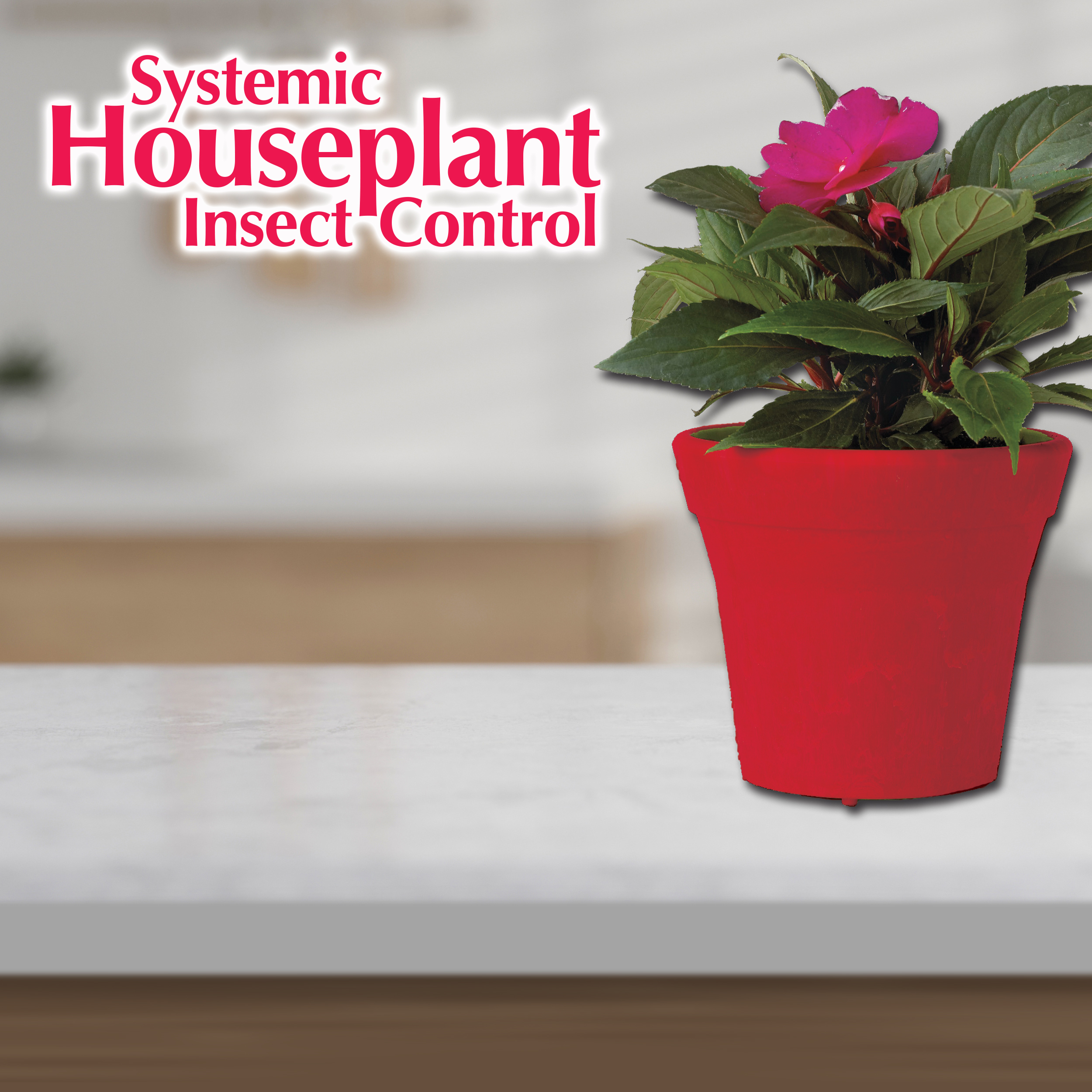 Systemic Houseplant Insect Control