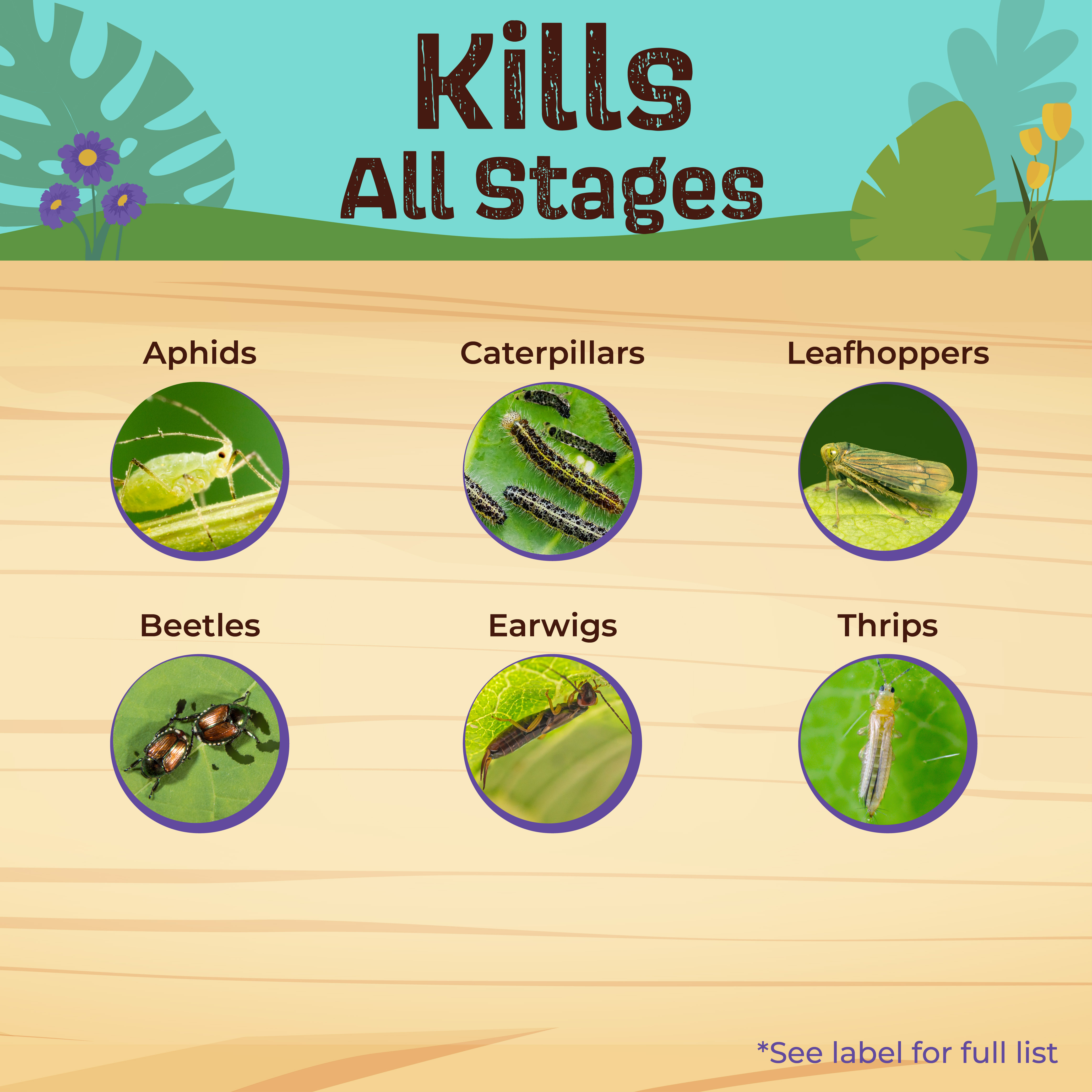 Captain Jack’s Citrus, Fruit, & Nut Orchard Spray Concentrate