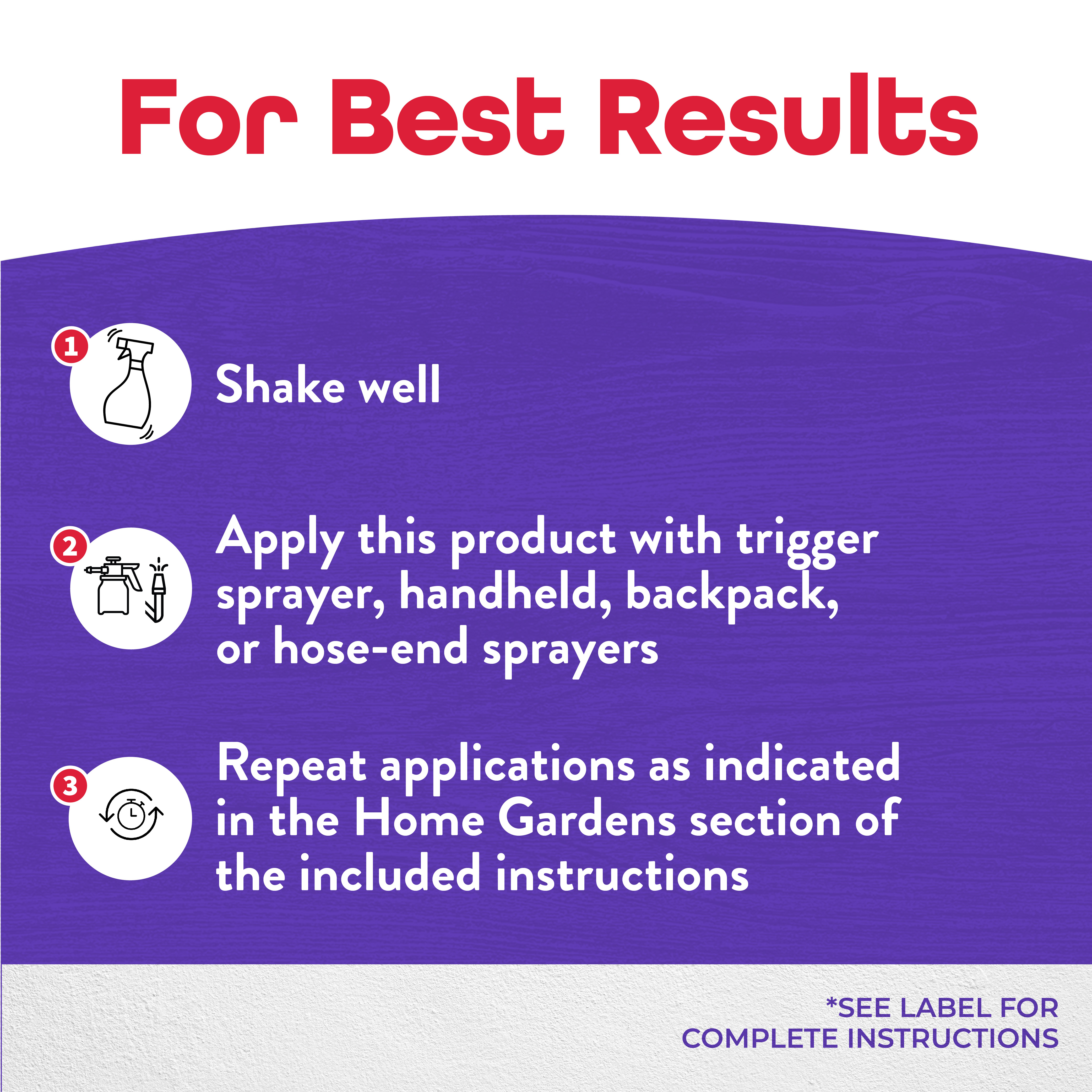 Colorado Potato Beetle Conc
