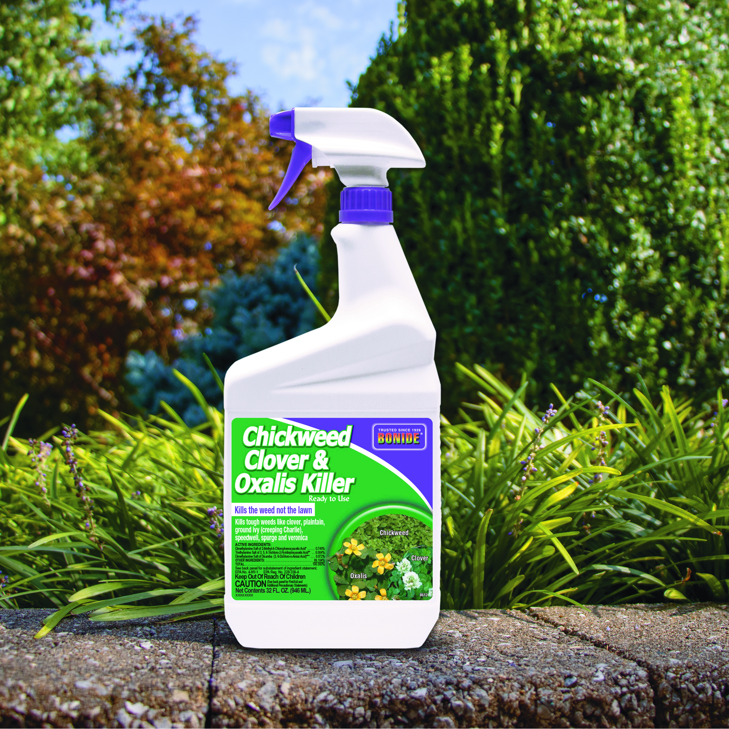 Chickweed, Clover & Oxalis Killer Ready-to-Use