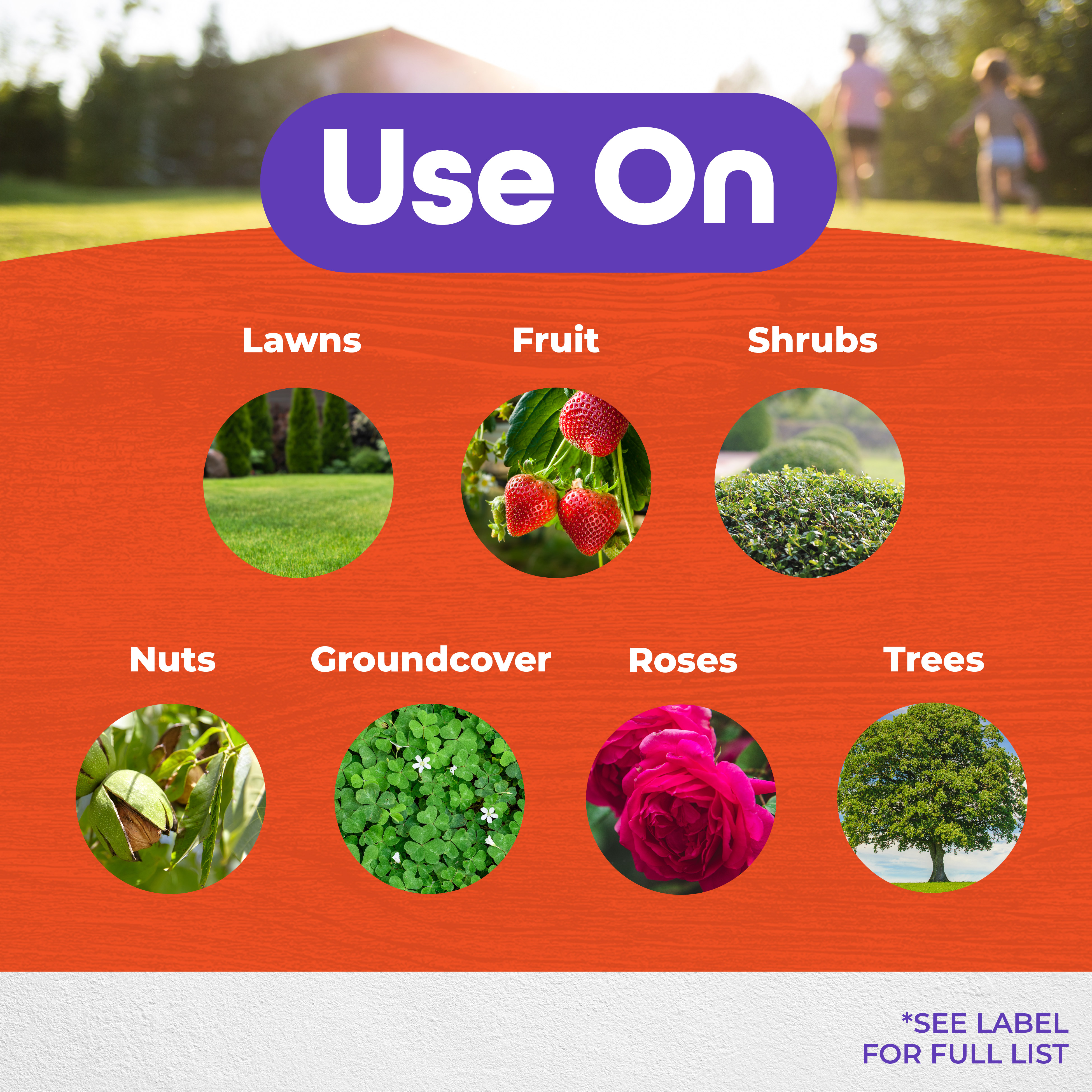Systemic Insect Spray Ready-to-Spray