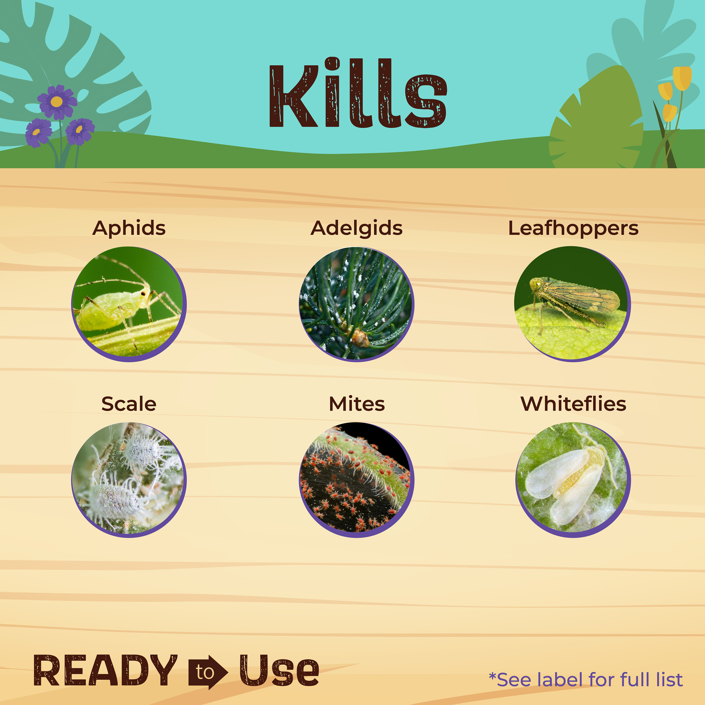 Insecticidal Soap Houseplant Spray Ready-to-Use