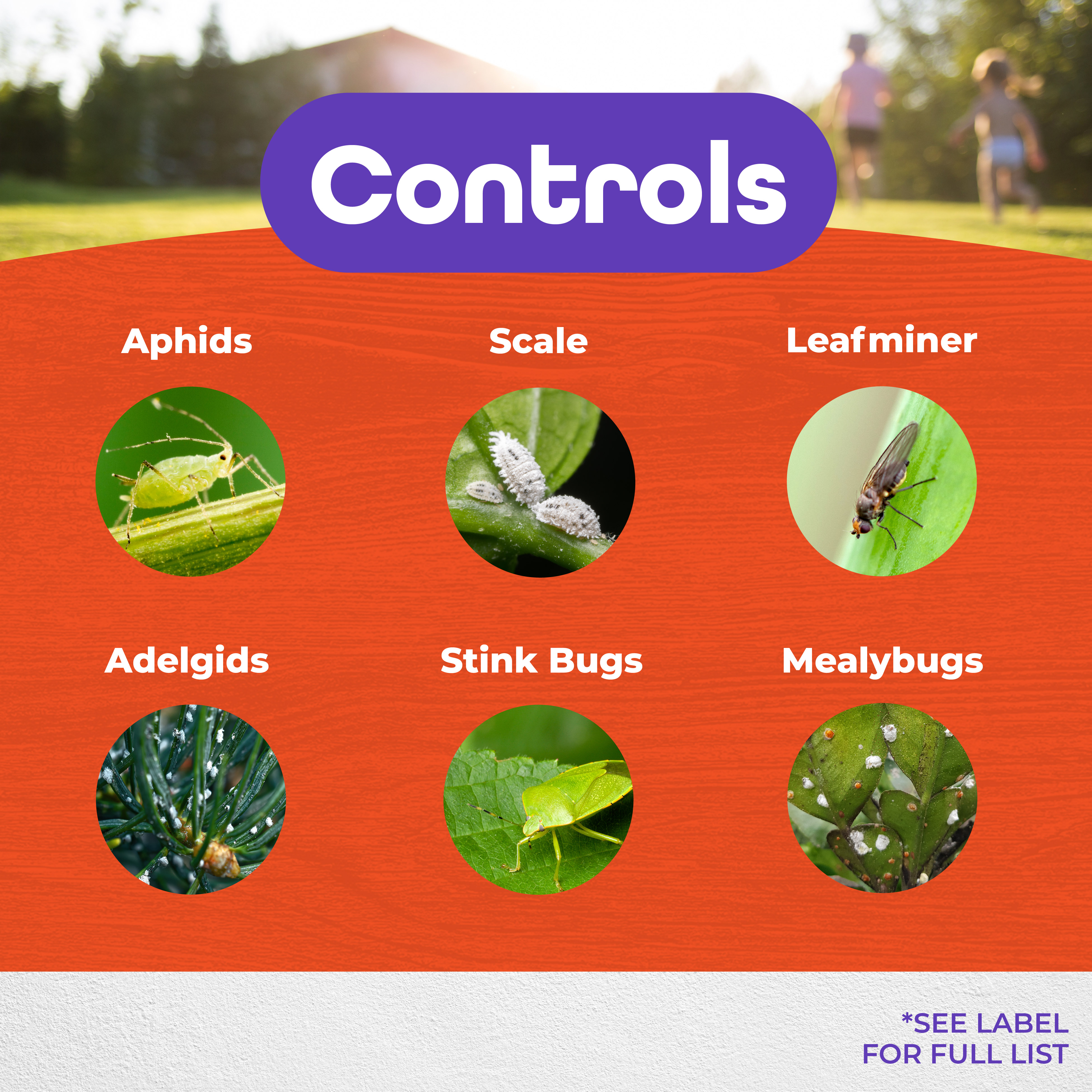 Systemic Insect Spray Ready-to-Spray