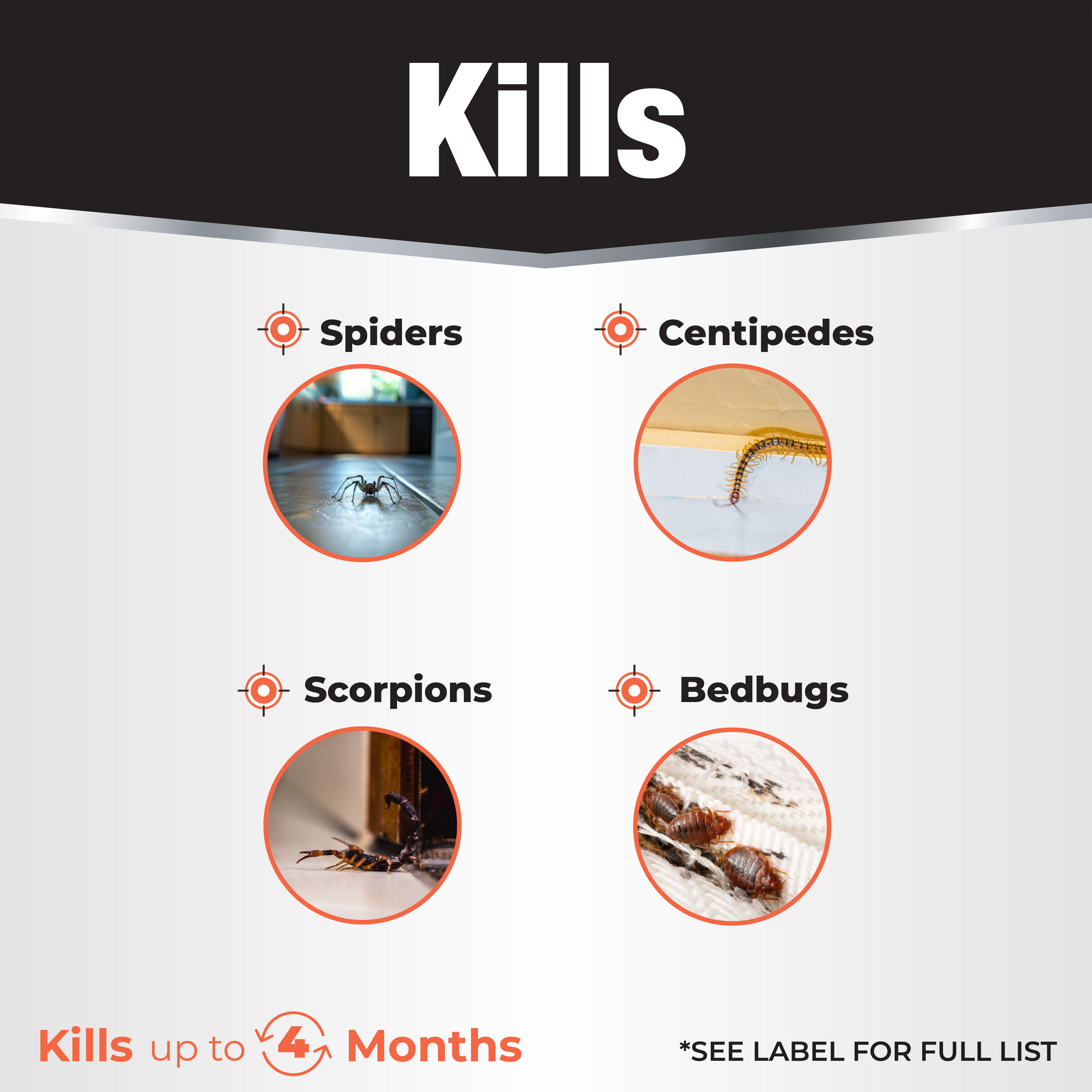 Revenge Spider Killer Ready-to-Use