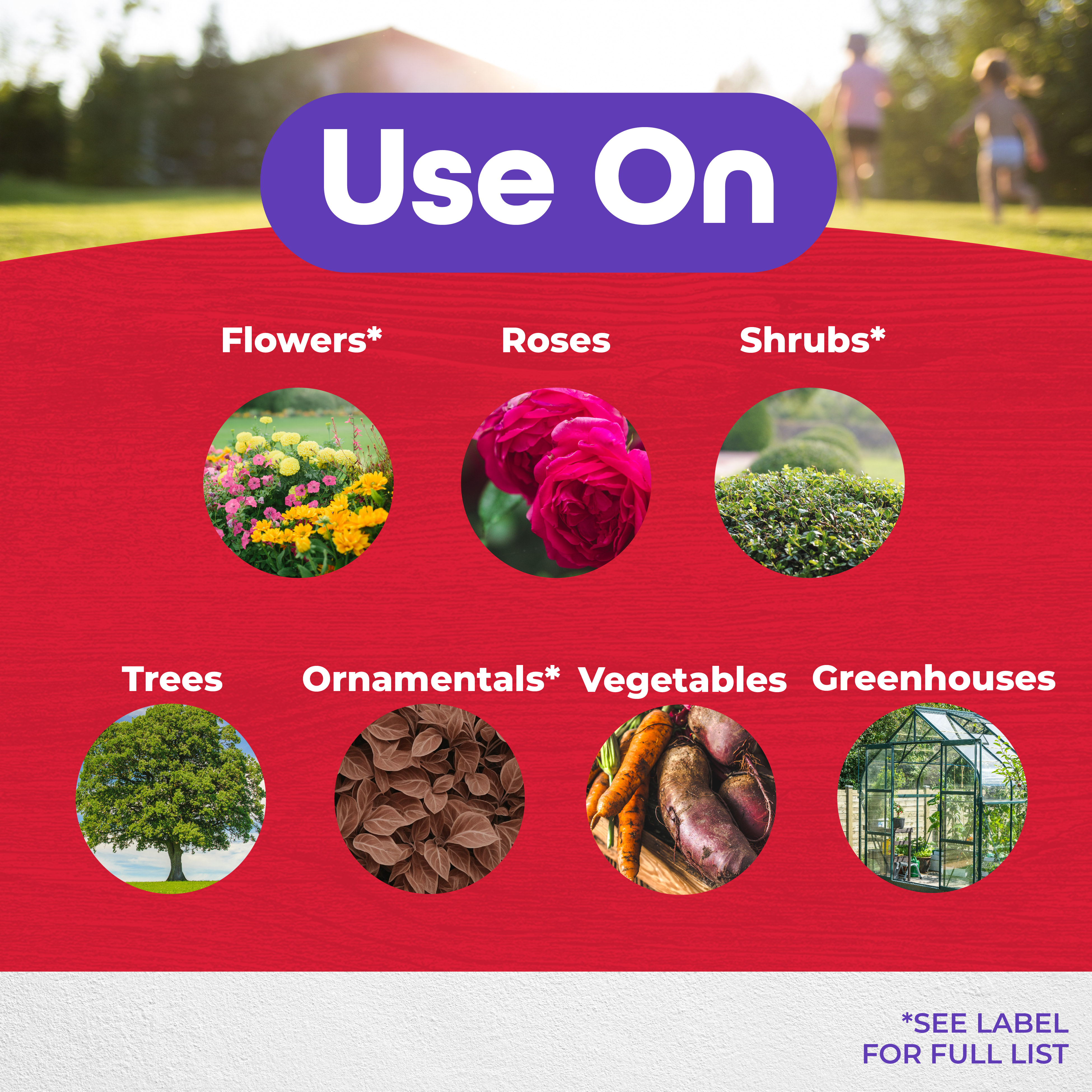 Japanese Beetle Killer Ready-to-Use