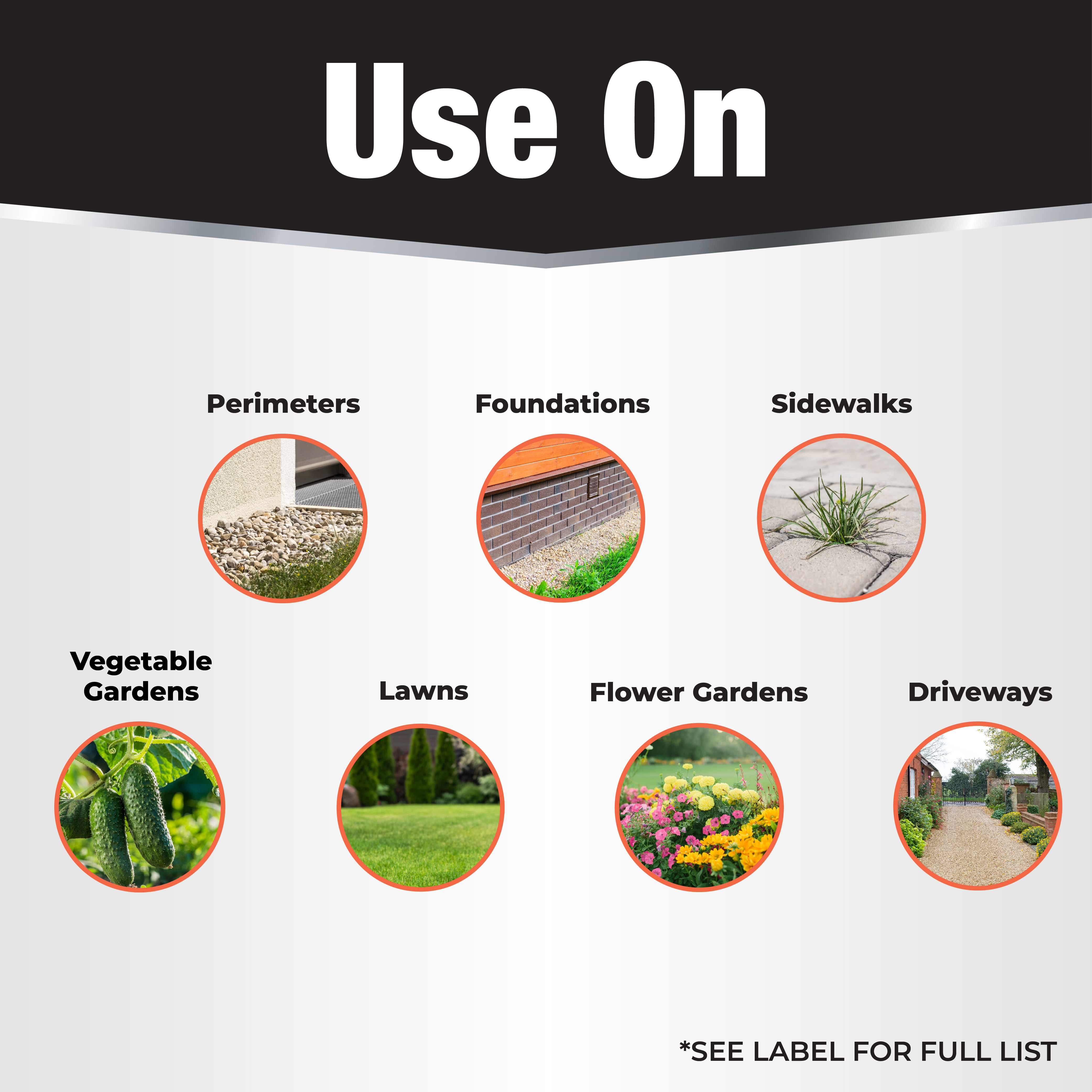 Revenge Termite & Carpenter Ant Control Concentrate