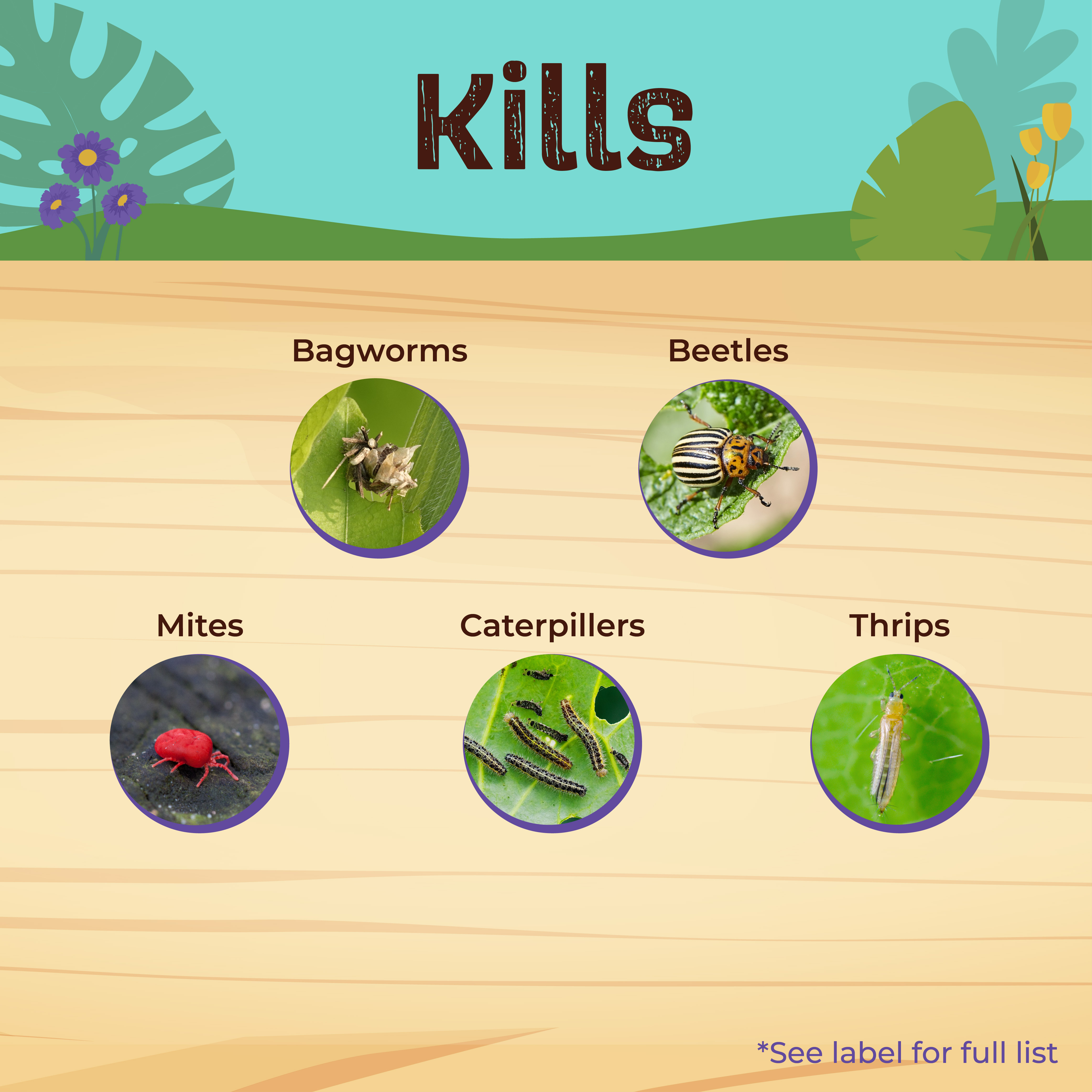 Captain Jack's DeadBug Brew® Ready-to-Spray