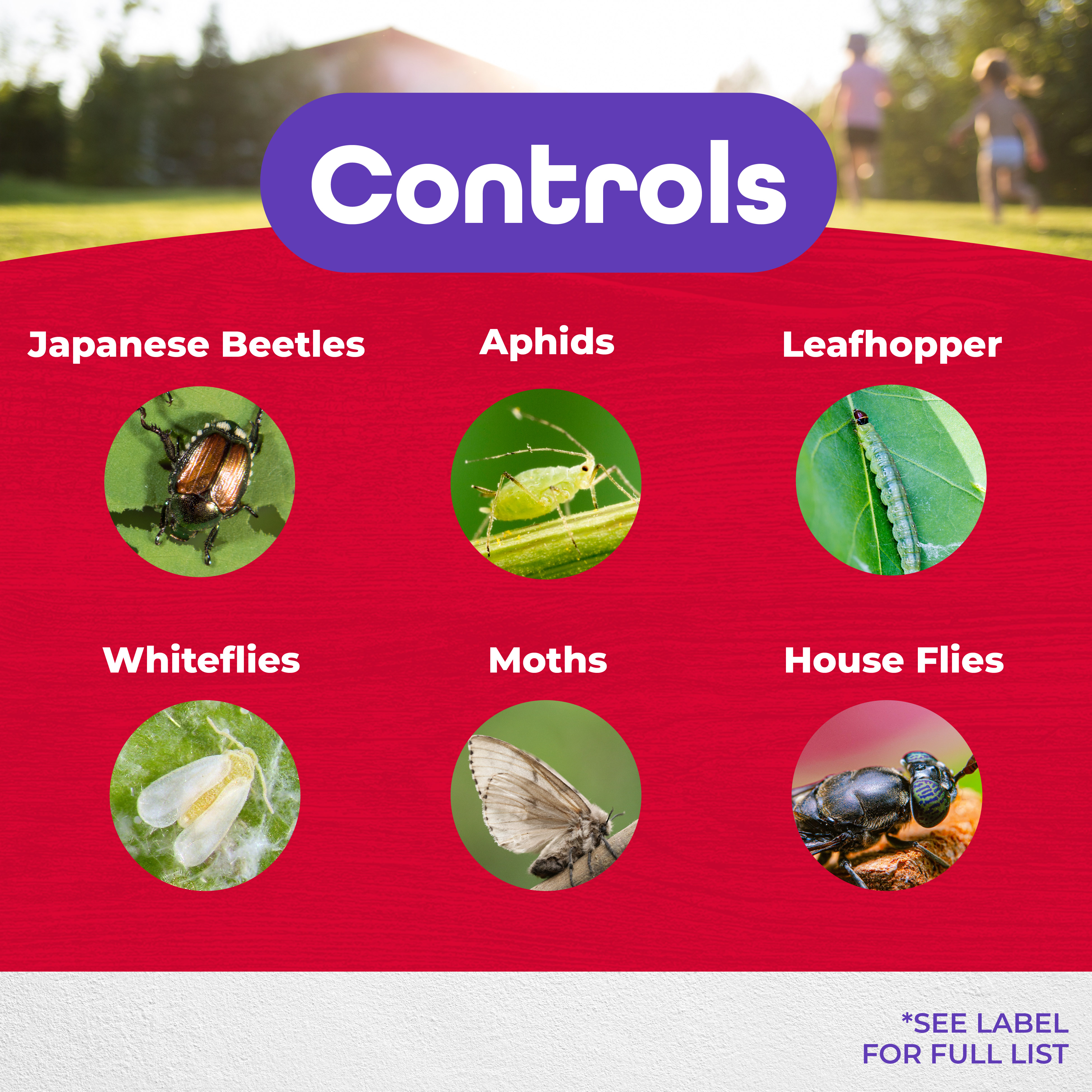 Japanese Beetle Killer Ready-to-Use