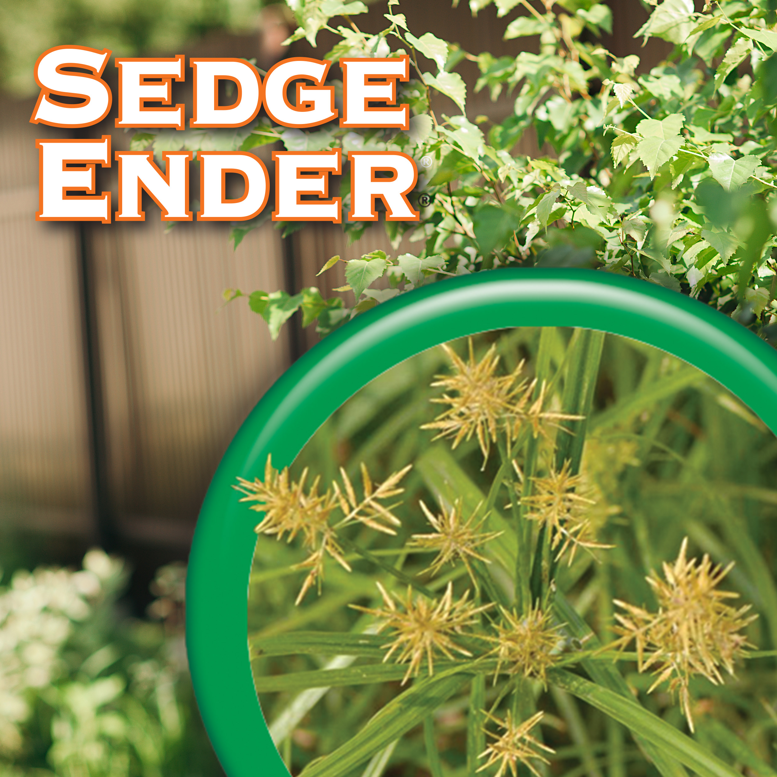 Sedge Ender Ready-to-Spray