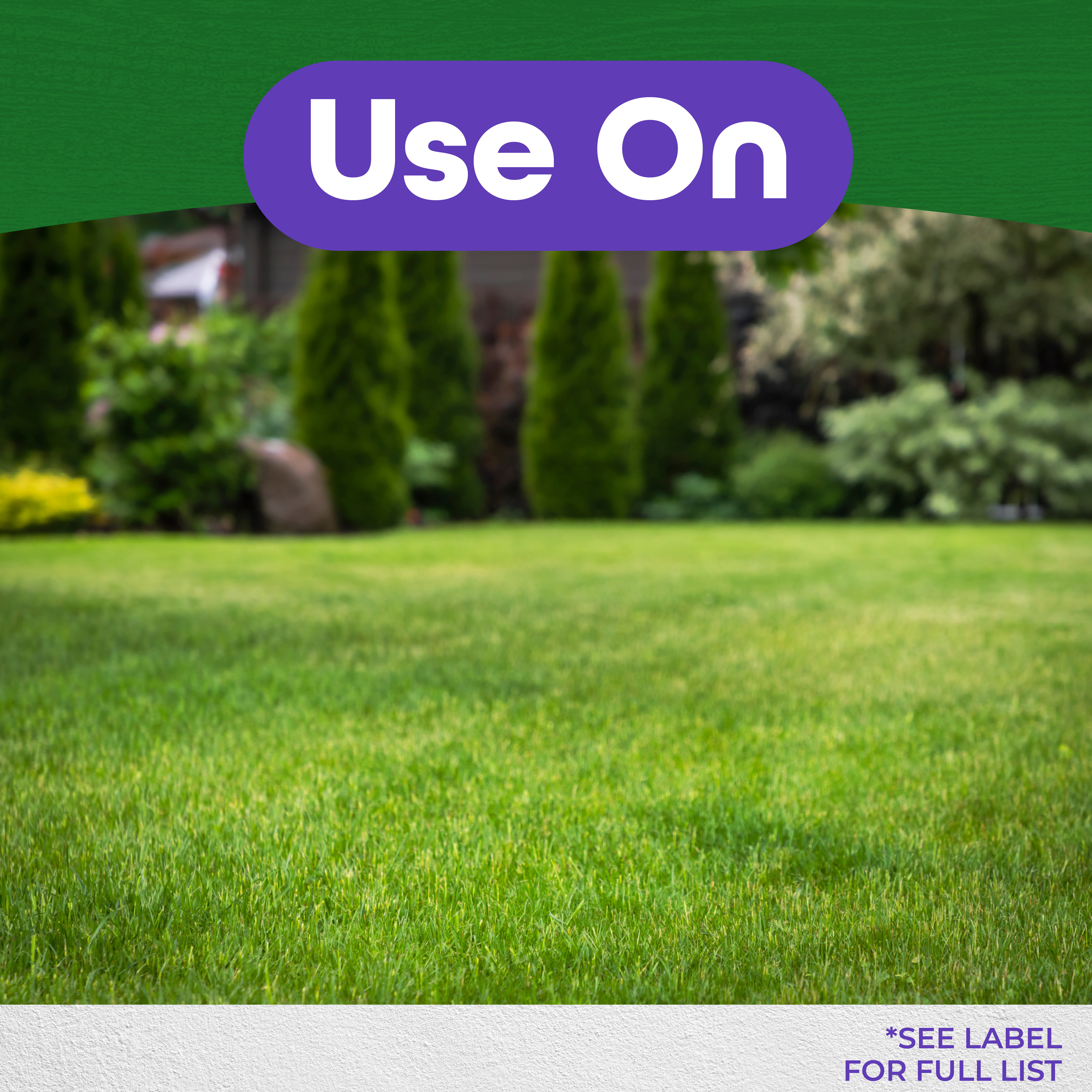 Weed Beater Plus Crabgrass & Broadleaf Weed Killer Ready-to-Spray