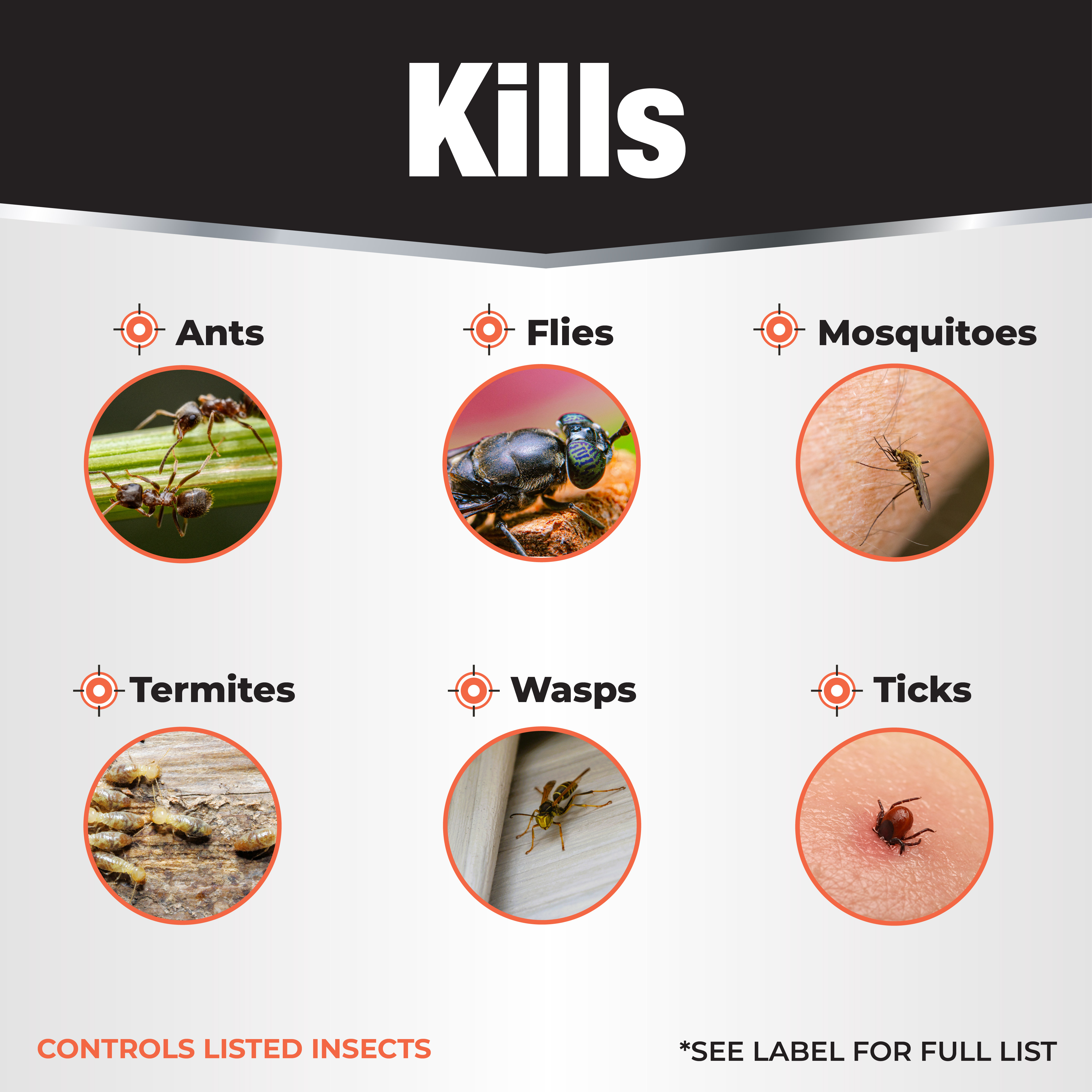 Revenge Termite & Carpenter Ant Control Concentrate