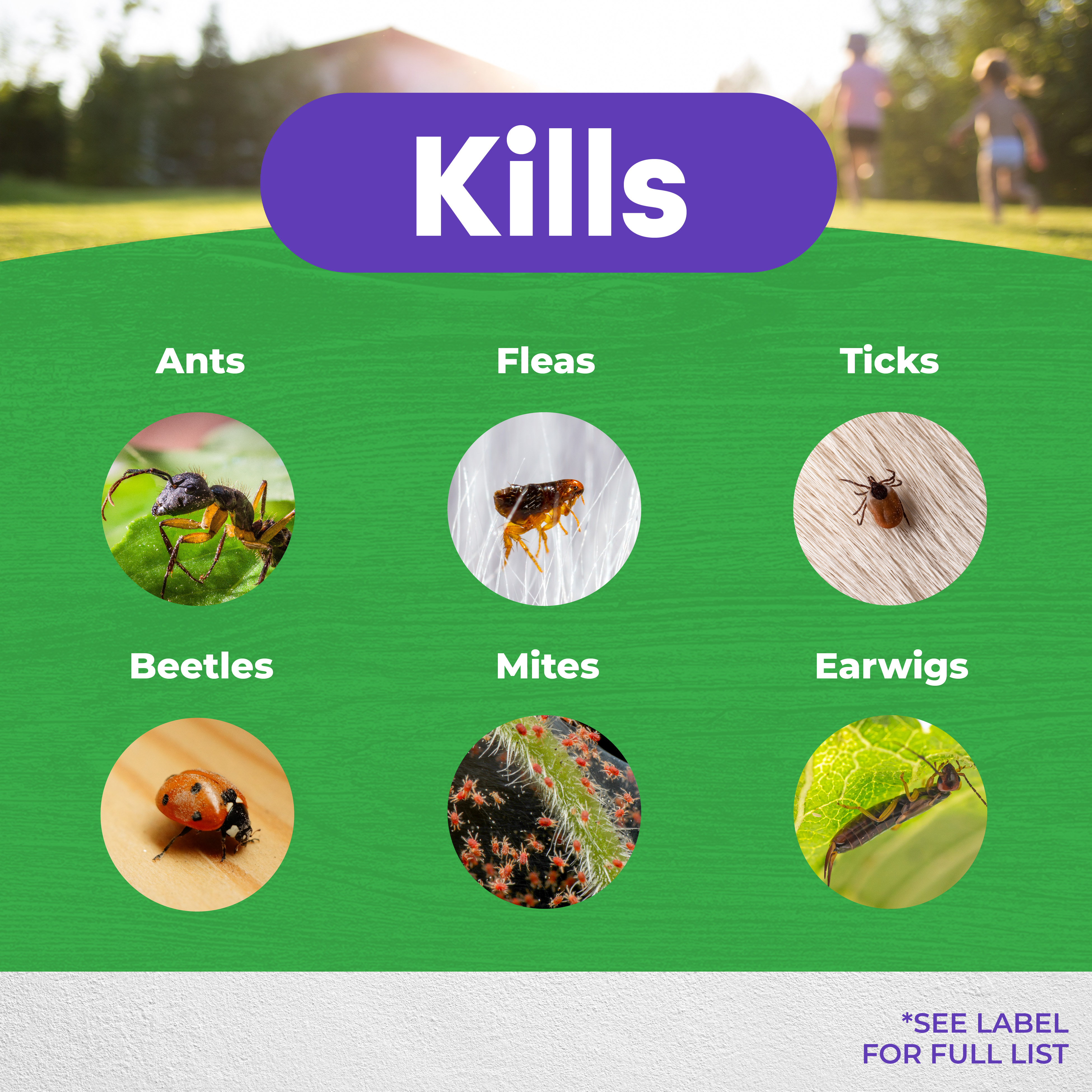 Ant, Flea & Tick Killer