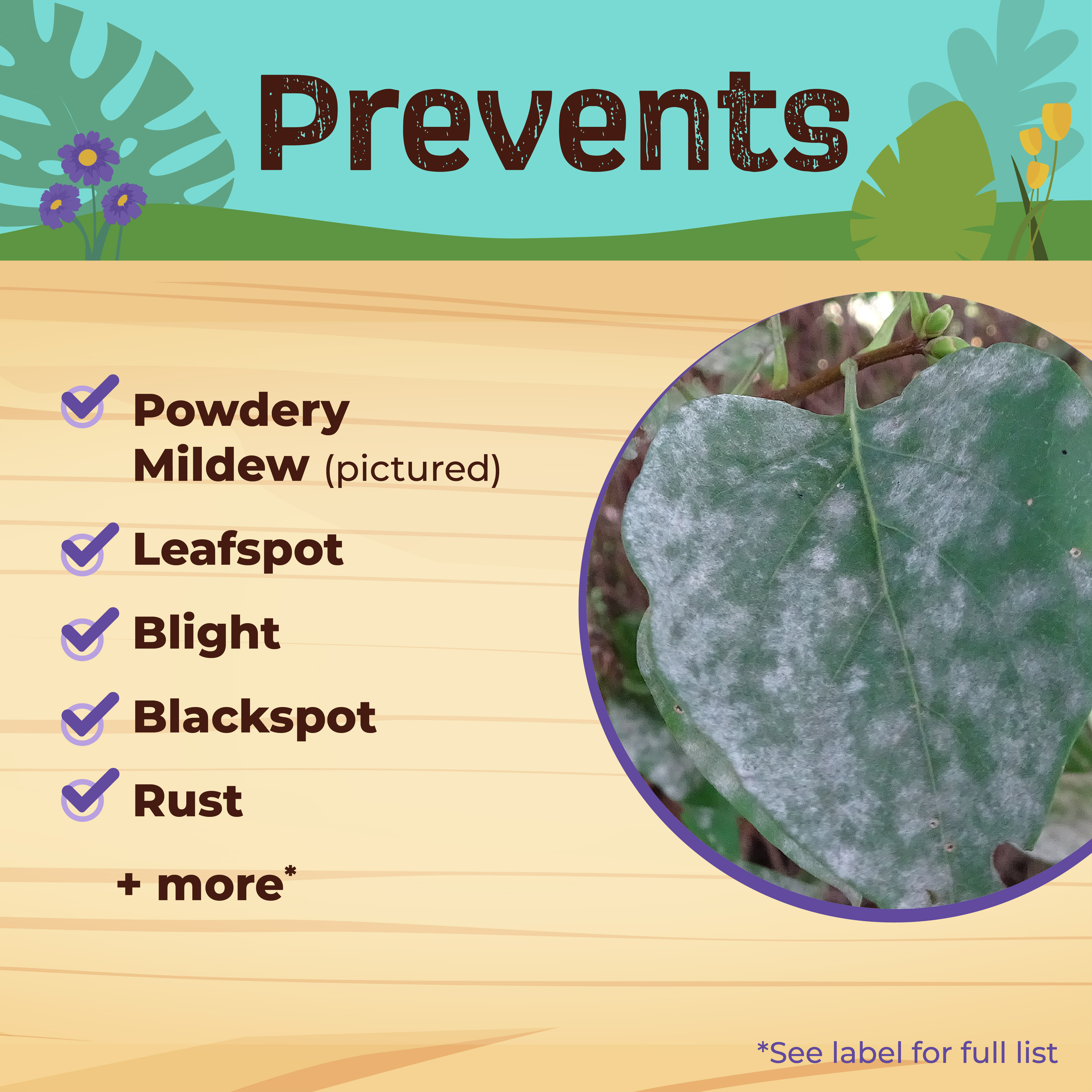 Captain Jack’s Citrus, Fruit, & Nut Orchard Spray Concentrate