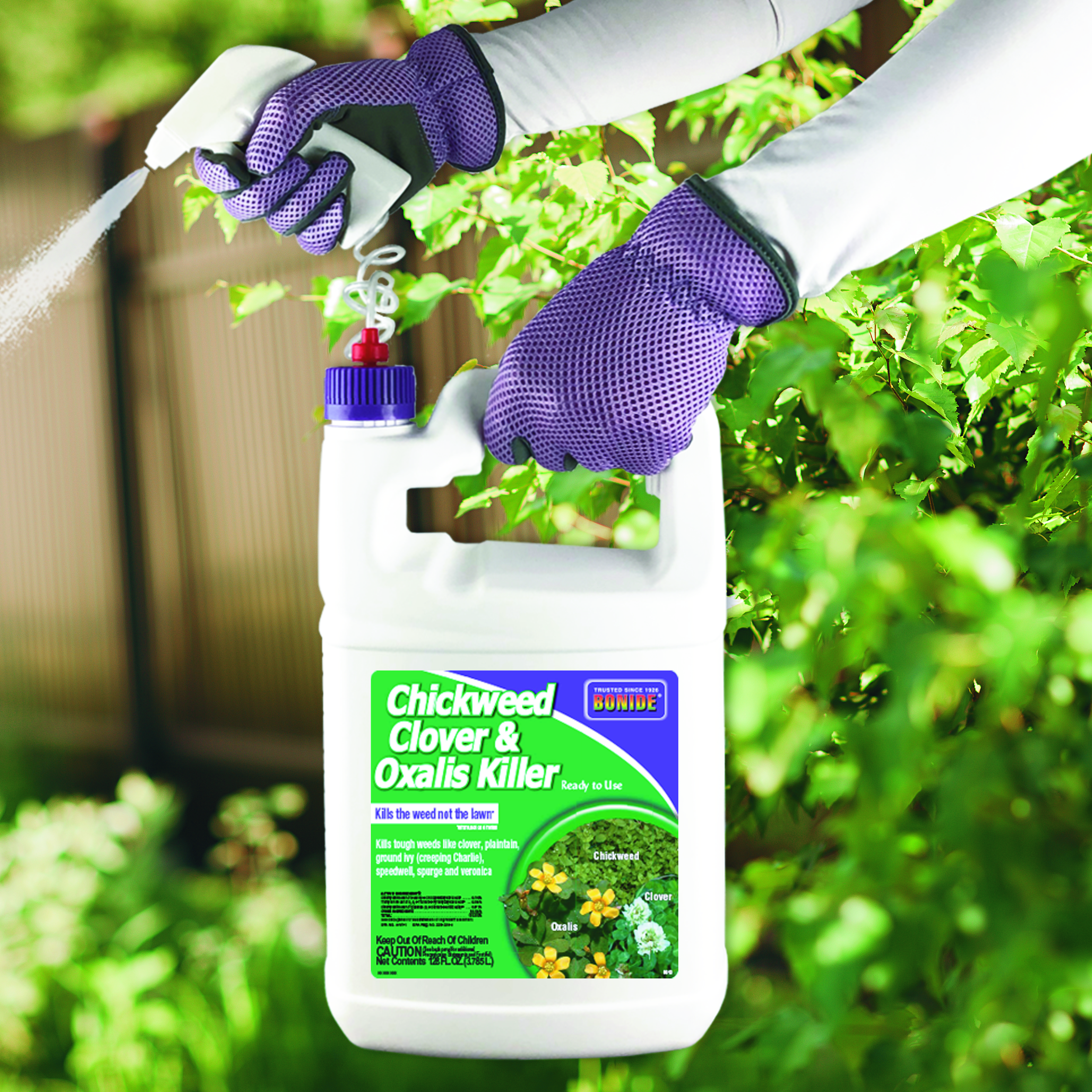 Chickweed, Clover & Oxalis Killer Ready-to-Use