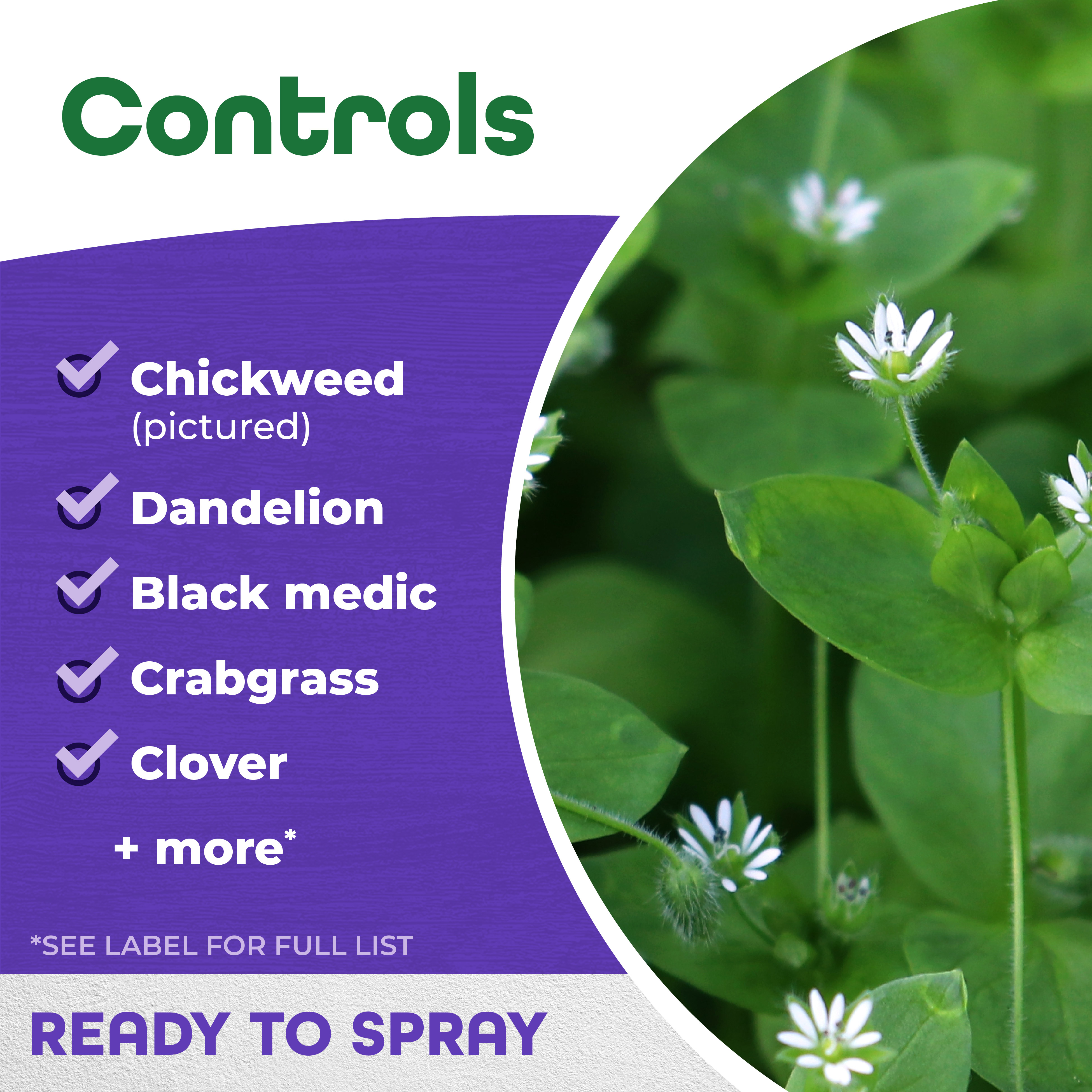 Weed Beater Plus Crabgrass & Broadleaf Weed Killer Ready-to-Spray
