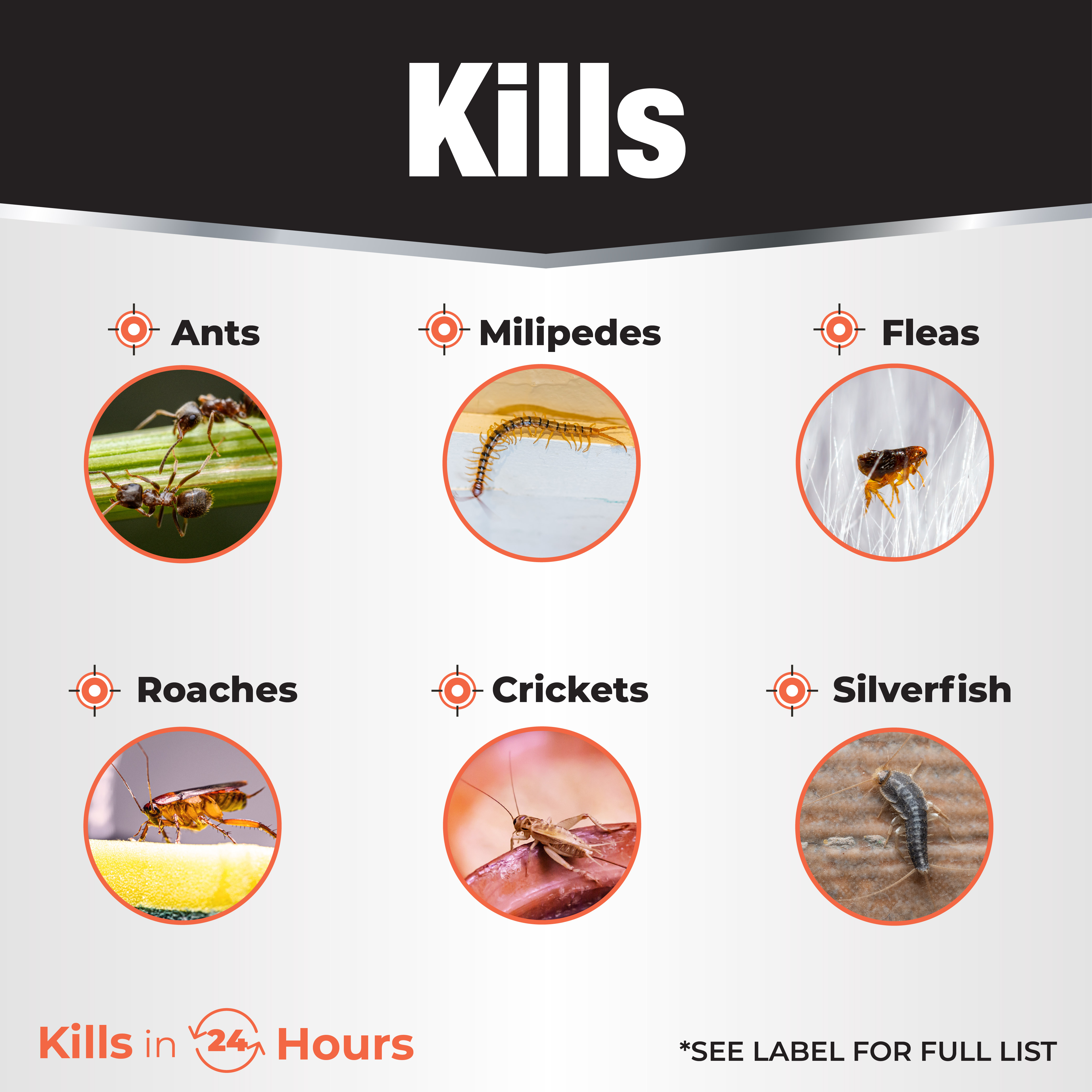 Bonide Revenge Granules Insect Killer 1.5 lb