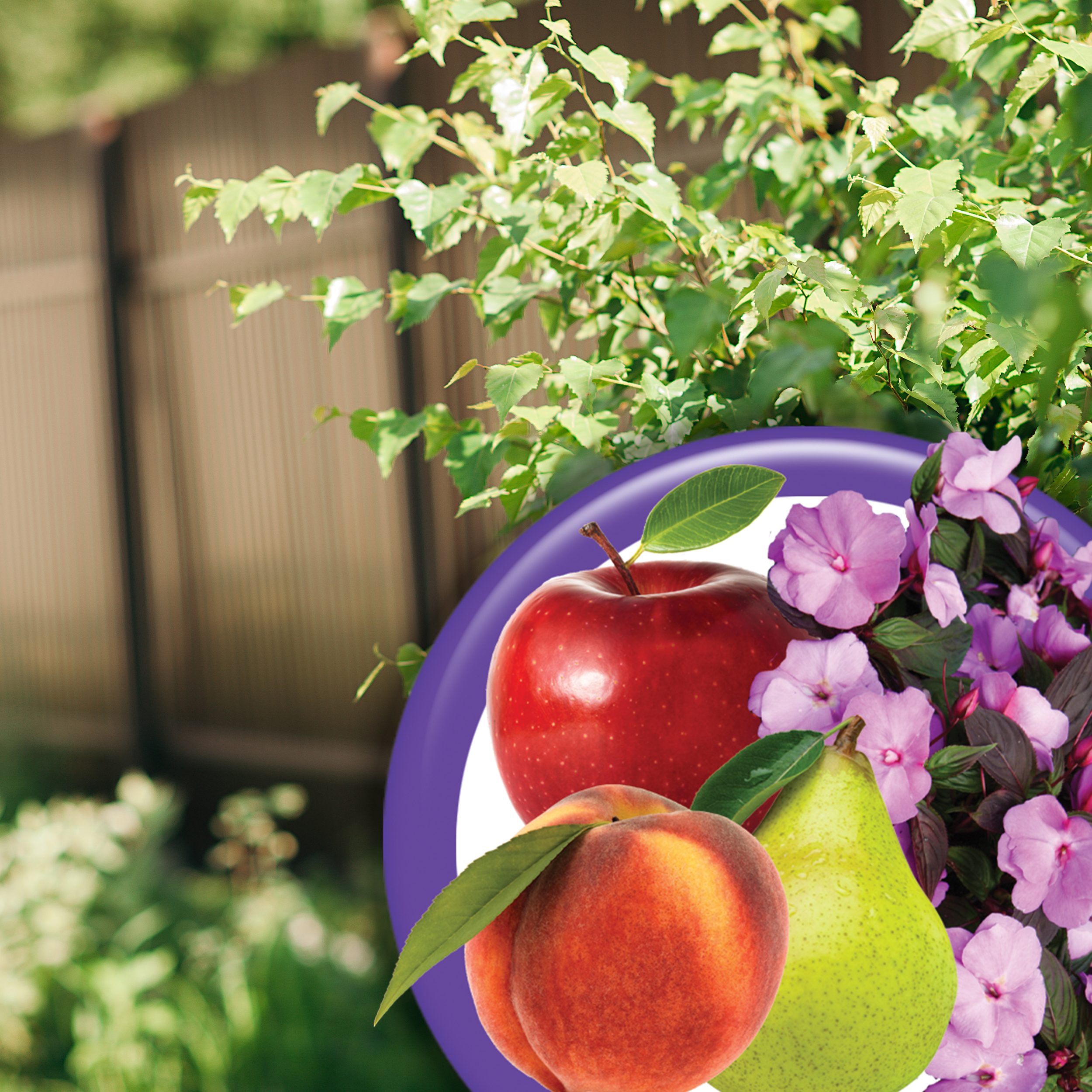 Fruit Tree & Plant Guard RTS