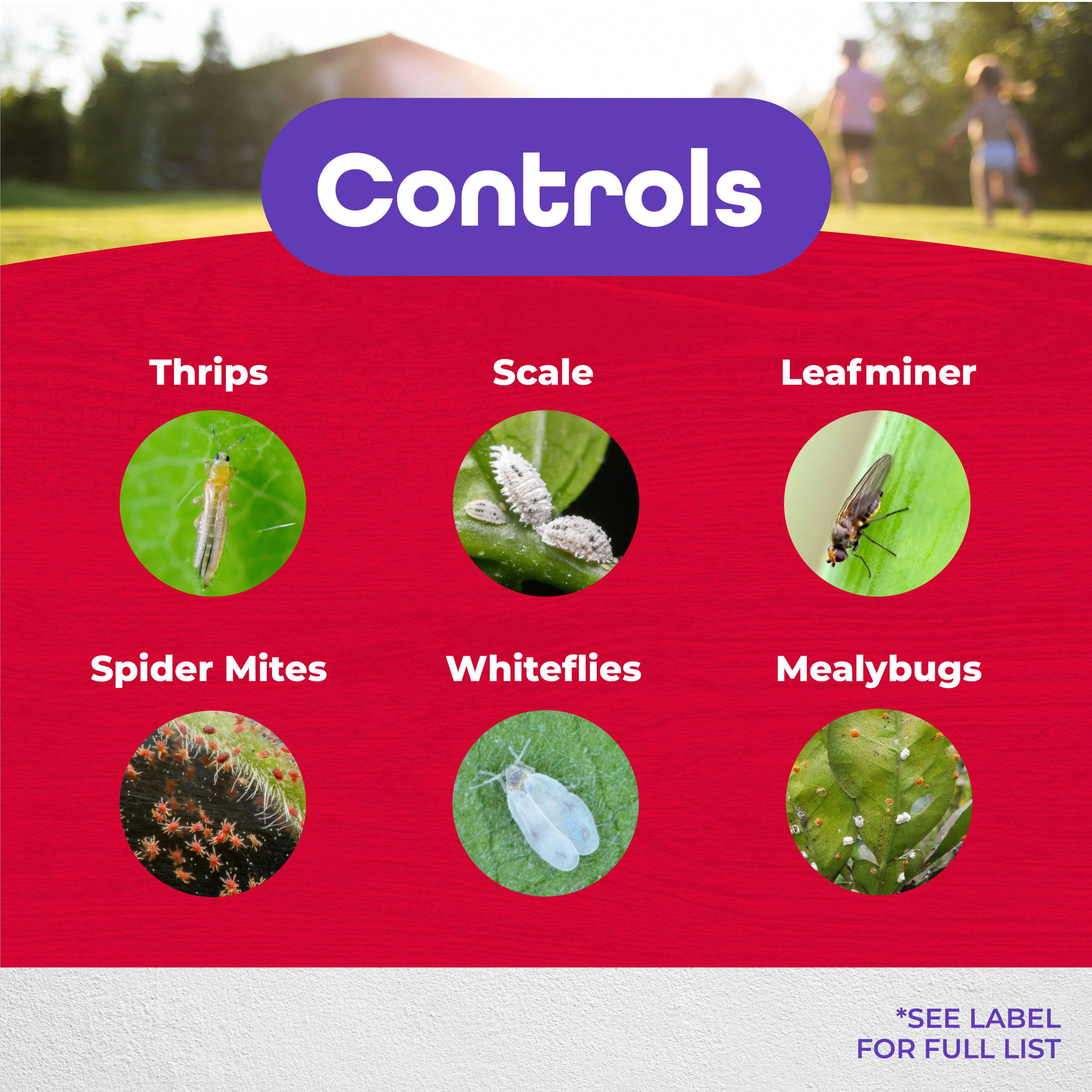 Systemic Insect Control Concentrate